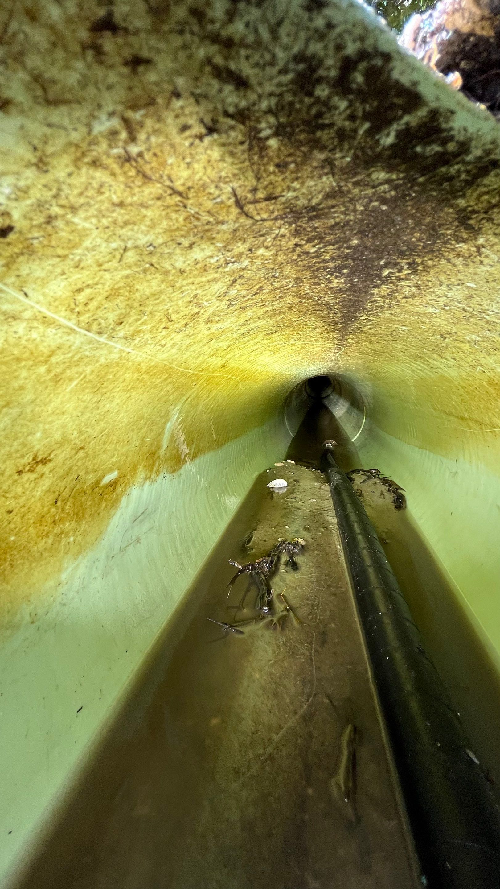 Condo Storm Water System Maintenance and Repairs by Don Mar, Inc. Storm Water Solutions