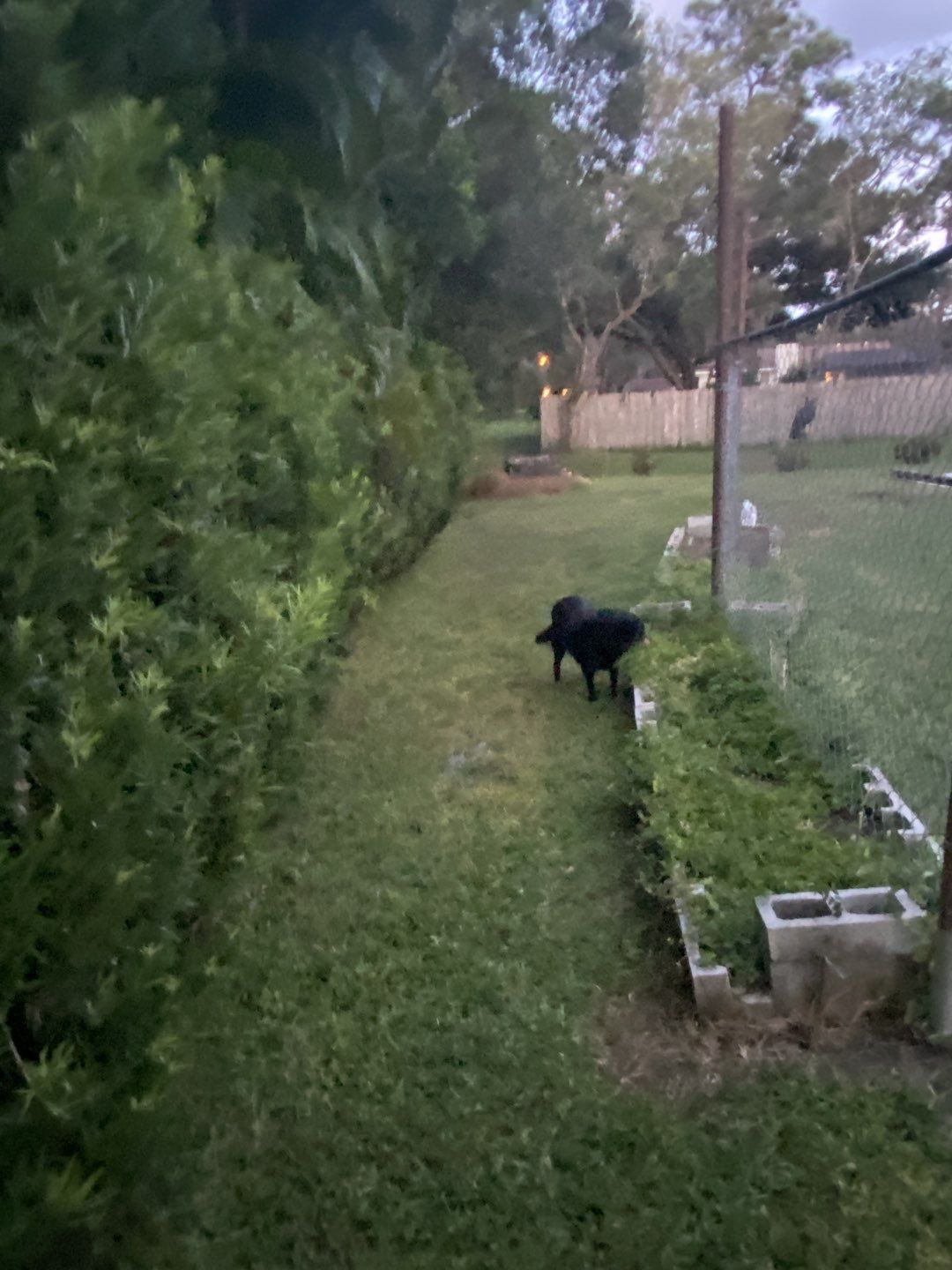 Bradenton, FL 4 ft. Tall 3-Rail Black Aluminum Fence by Asap fence and gates, LLC