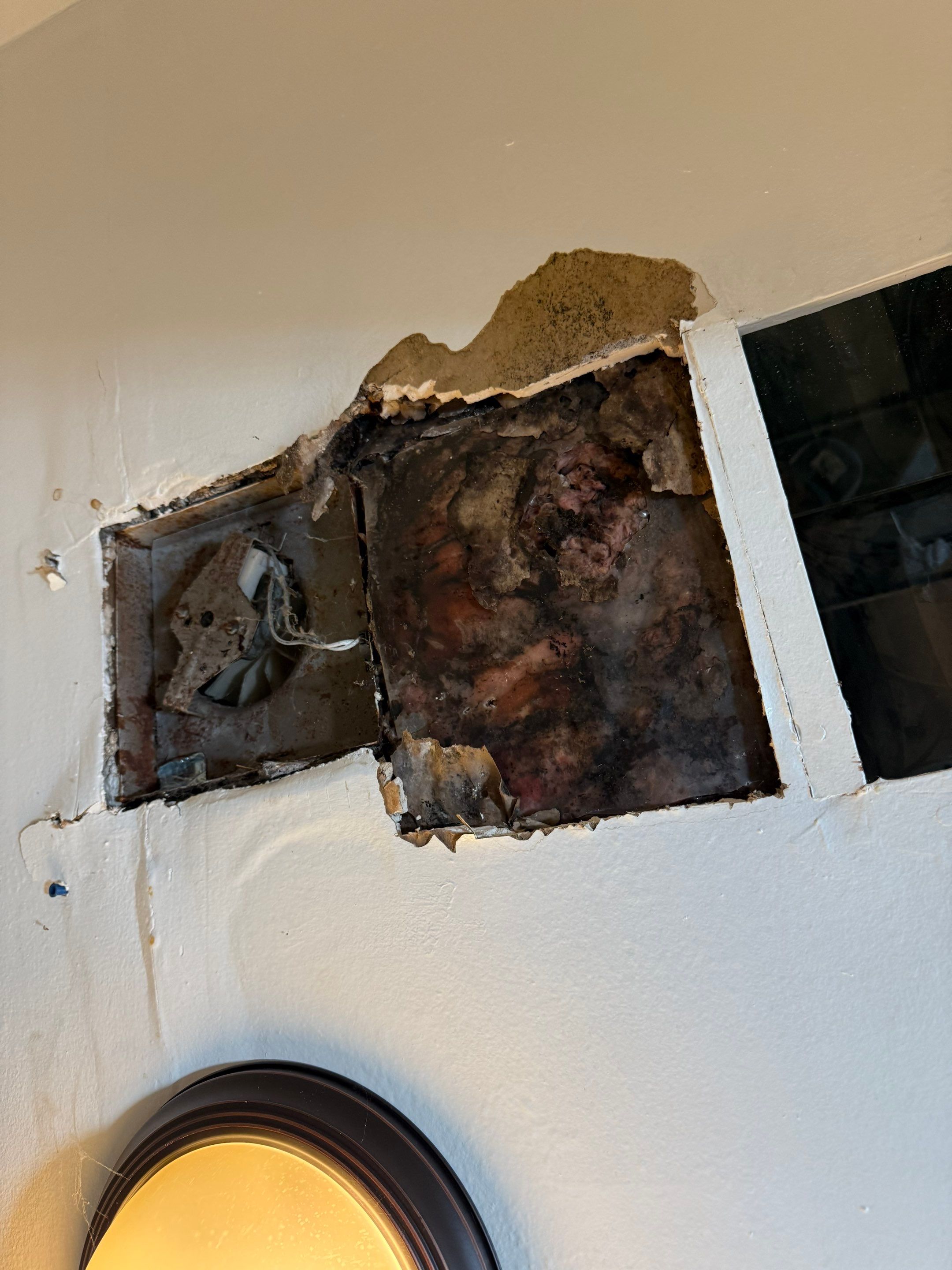 Emergency Leak Repair in Waldport by Prodigy Roof Solutions