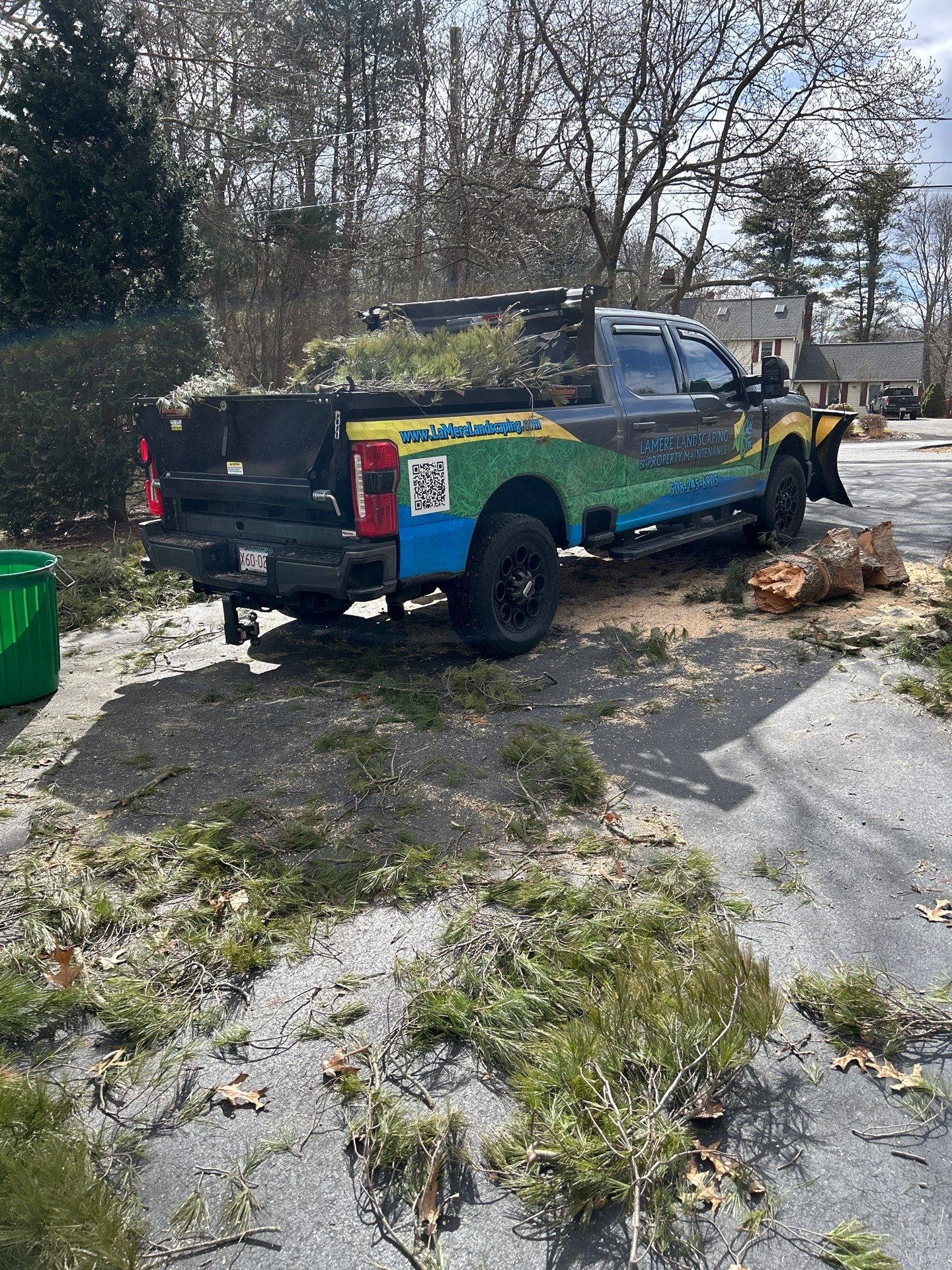 Tree Removal by LaMere Landscaping and Property Maintenance