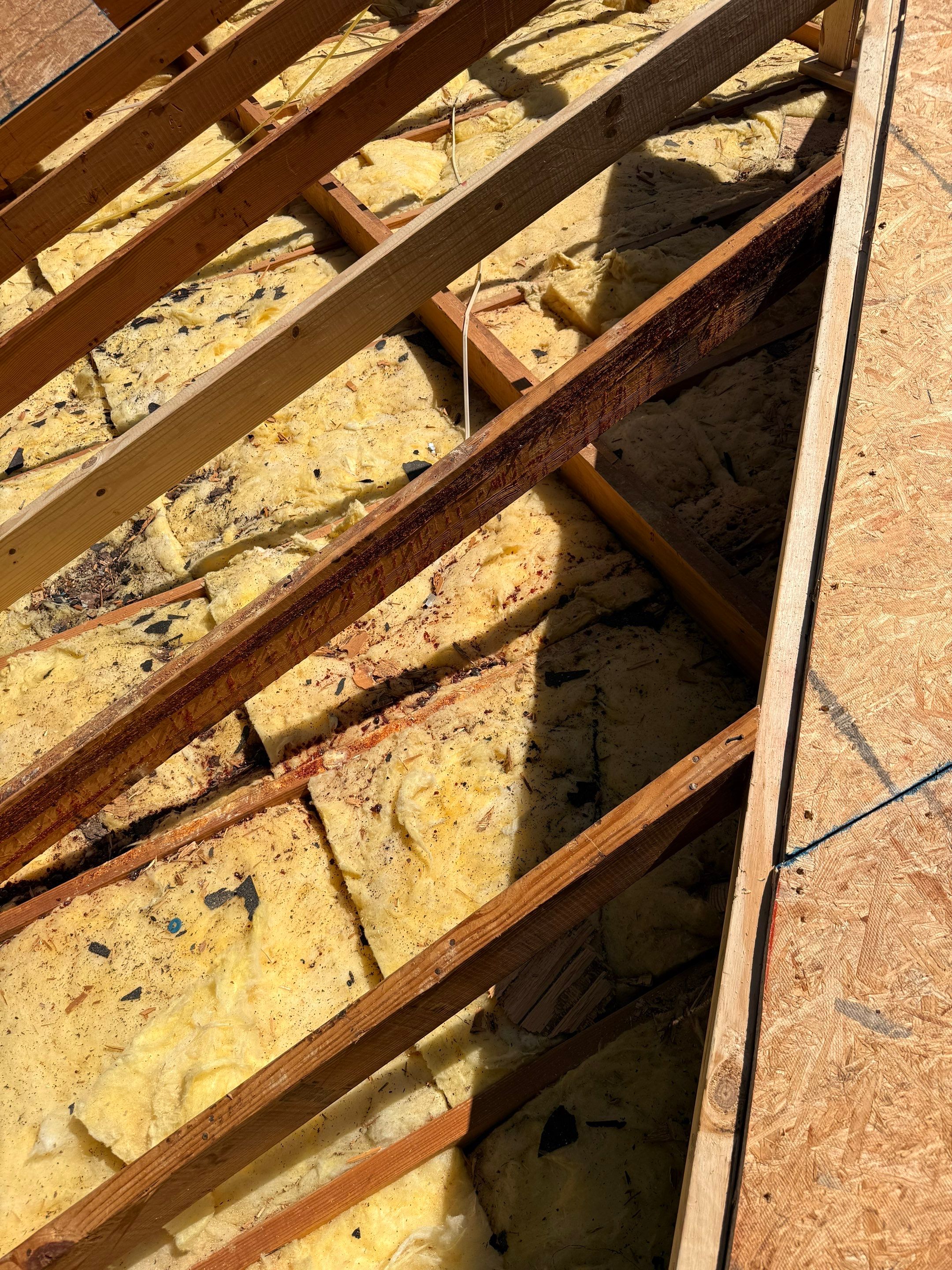 Full Architectural Shingle Roof Replacement Following Storm Damage in Wiggins by Frontline Roofing