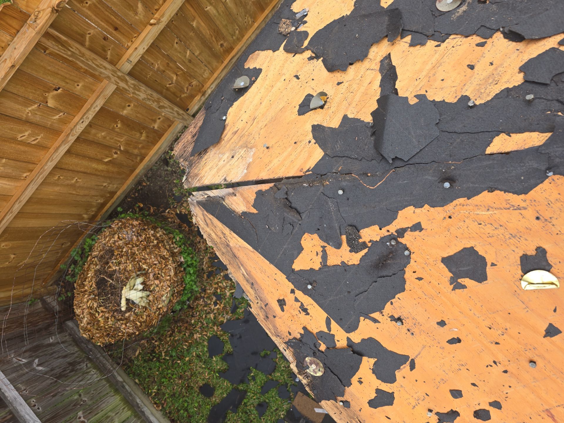 Roof Replacement Pasadena by Roof Repair Company