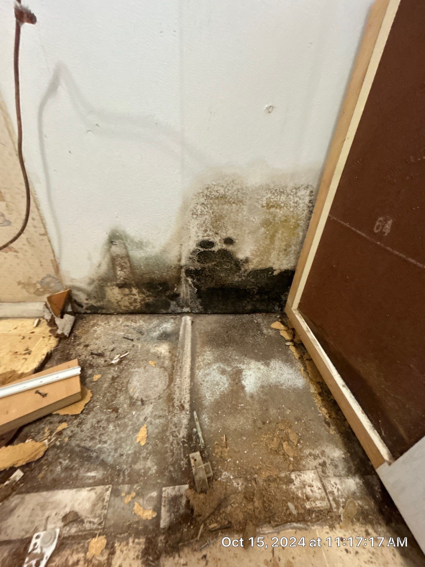 Mold Inspection by Ampm Restoration Services