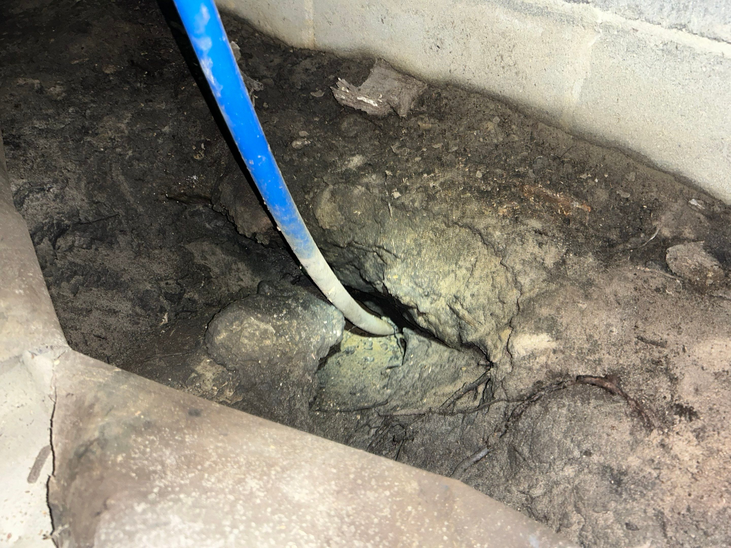 Premium Encapsulation with 20Mil, Borafoam insulation and Light System. by Impact Crawlspace