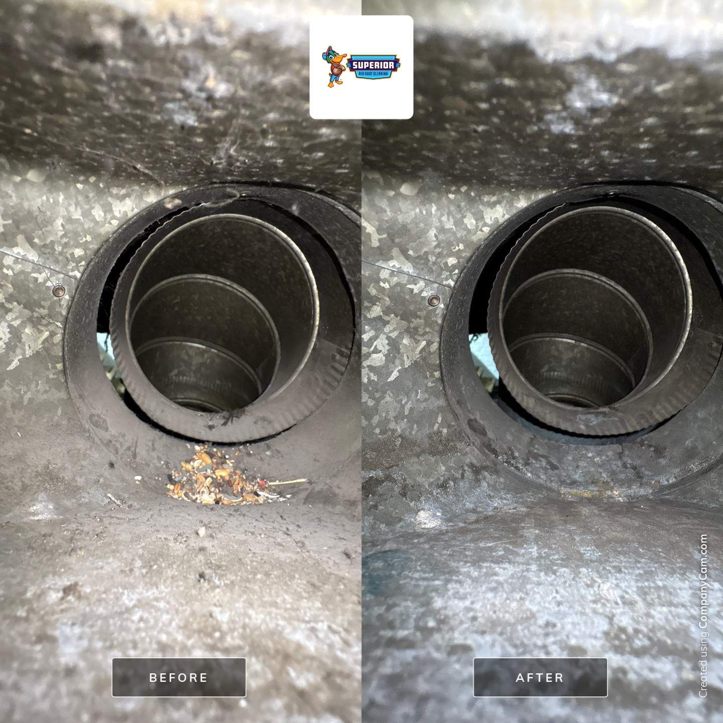 Comprehensive Air Duct Cleaning and HVAC Debris Removal in Bridgewater by Superior Air Duct Cleaning
