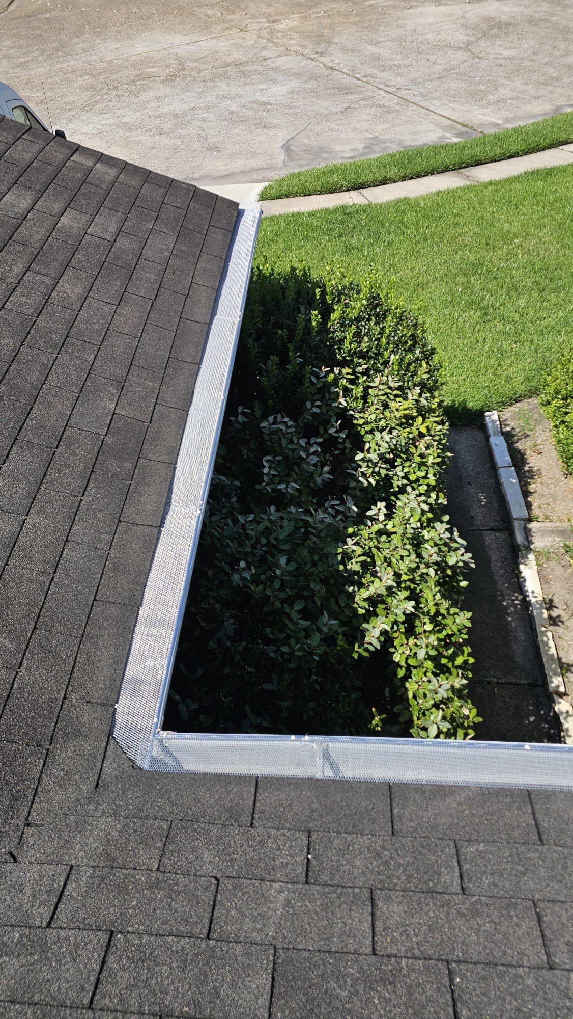 🌟 Ann Randolph’s Complete Outdoor Makeover by Texas Urban Elements