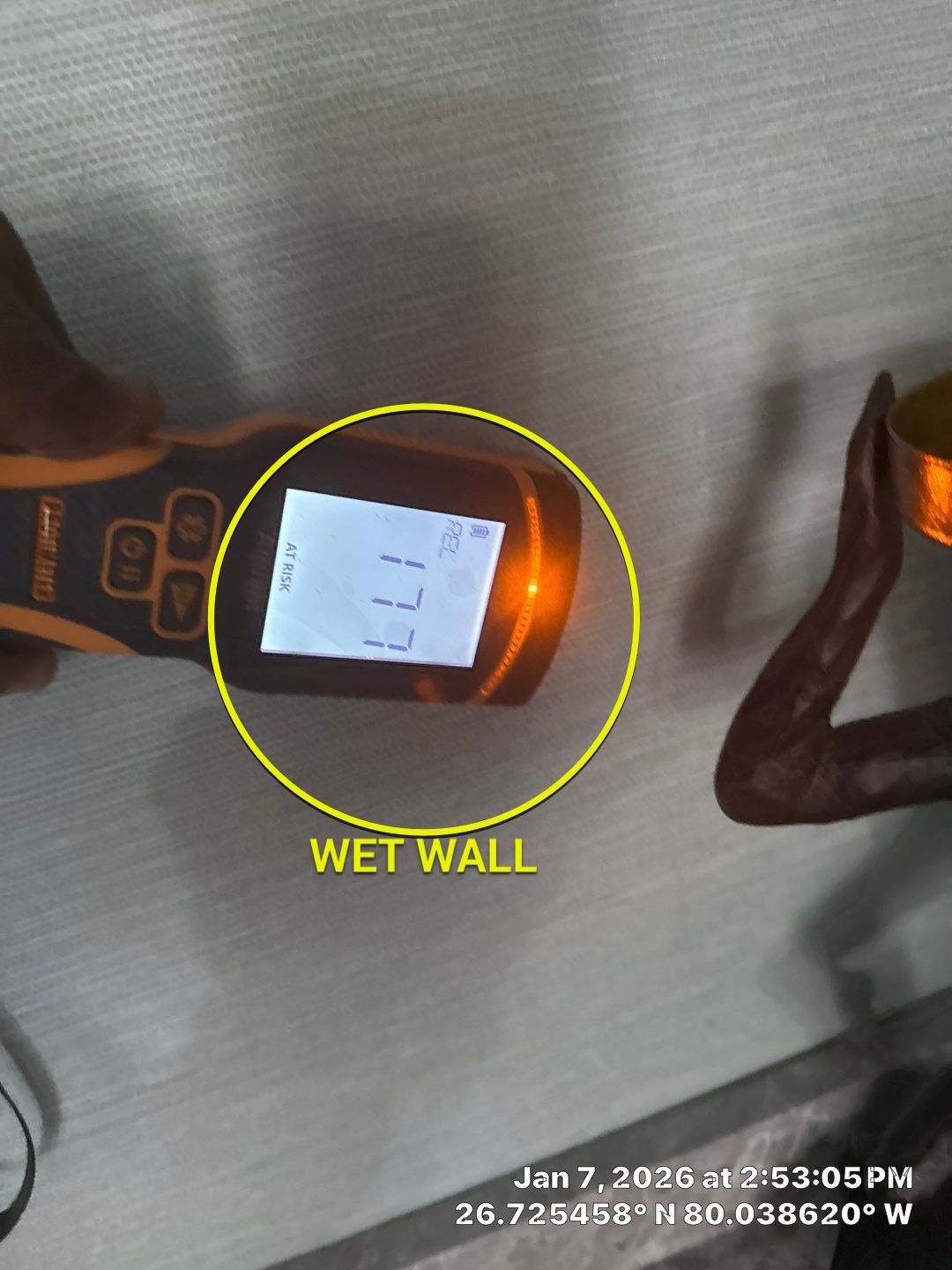 mold test by SuperClean 