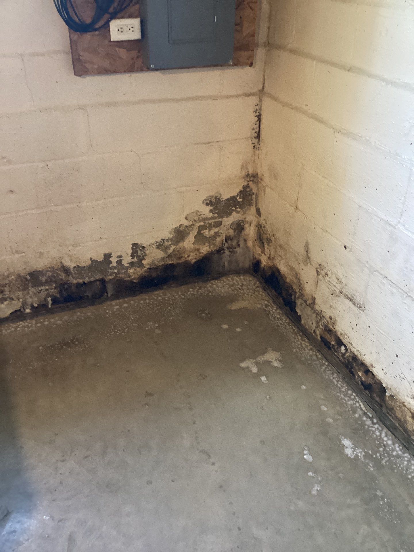 Project in Eaton by Trident Restoration, Inc