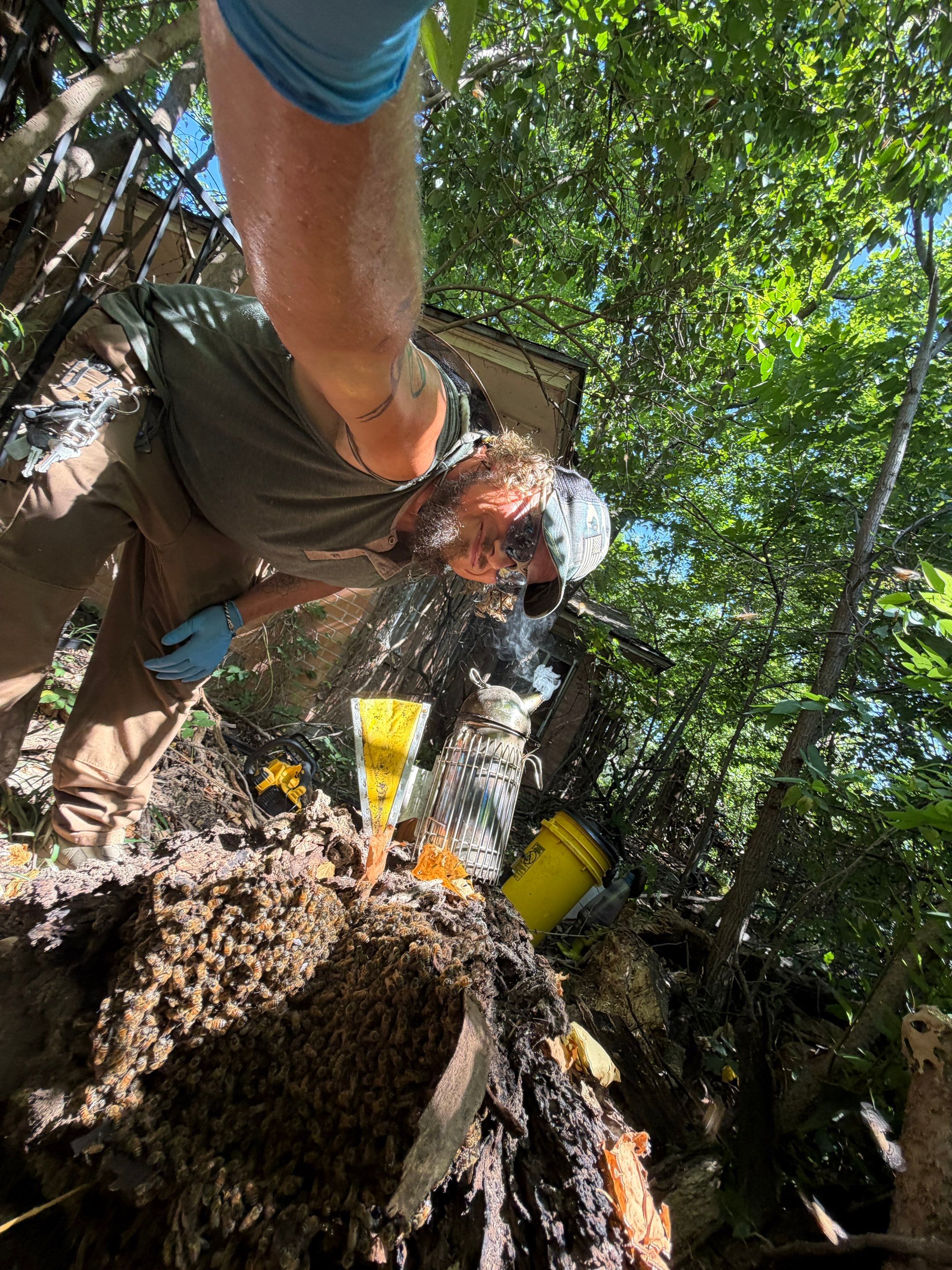 Warranted Removal by Rockwall Honey Bee Company