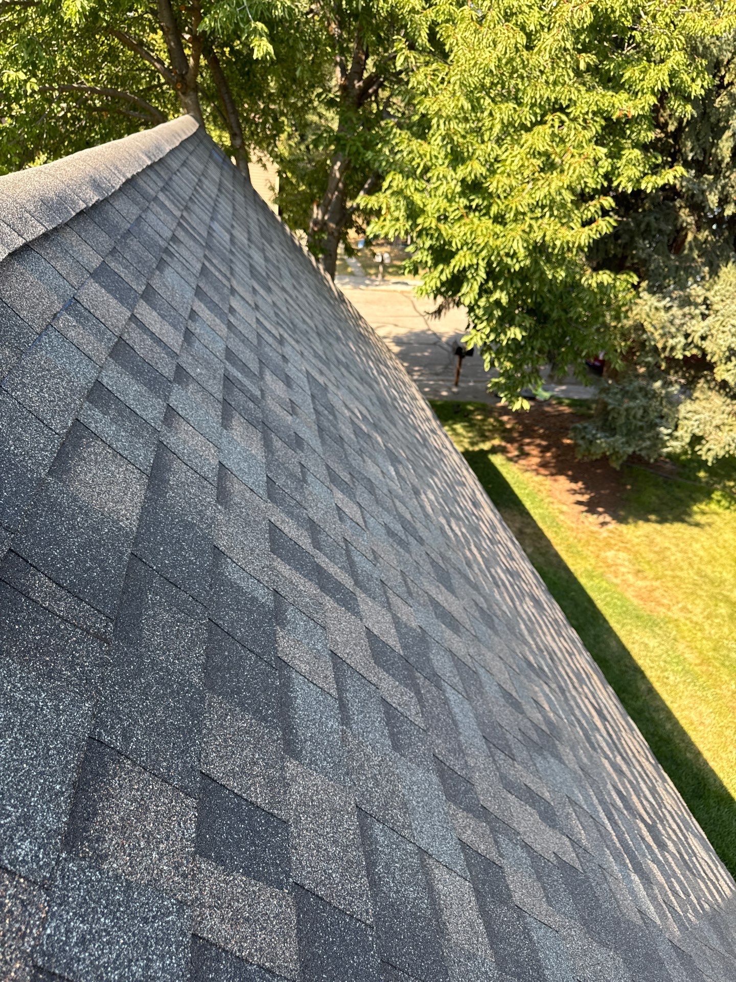 Complete Residential Roof Replacement and Sheathing Repair in Boise by Olive Roofing
