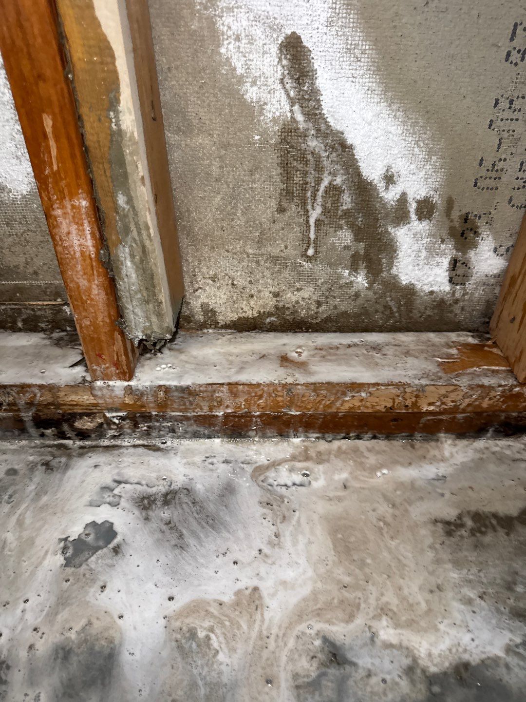 Wilmette Basement Sewage Extraction and Structural Drying Mitigation by Chicagoland Water Medics