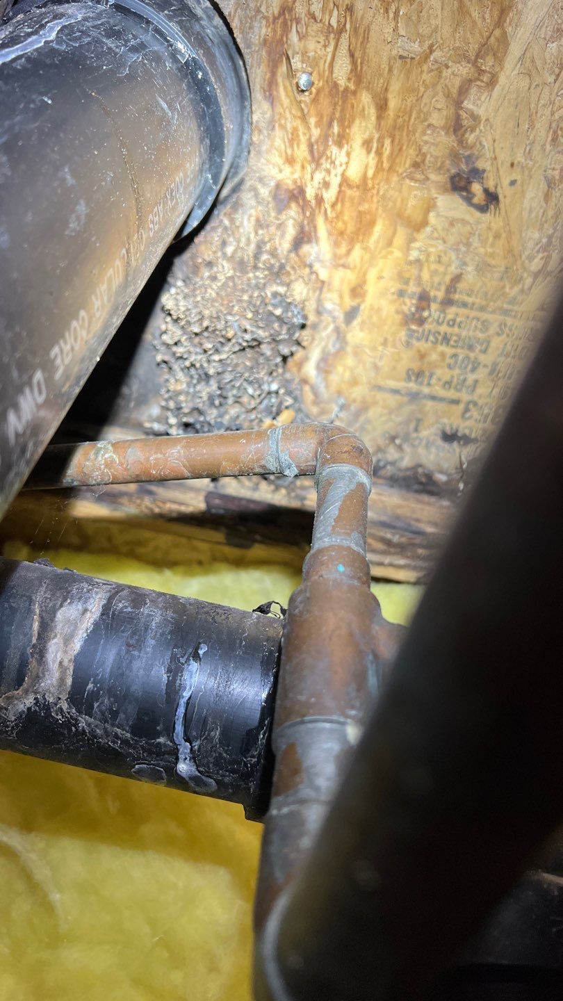 Mold Remediation by Accountable Home Services