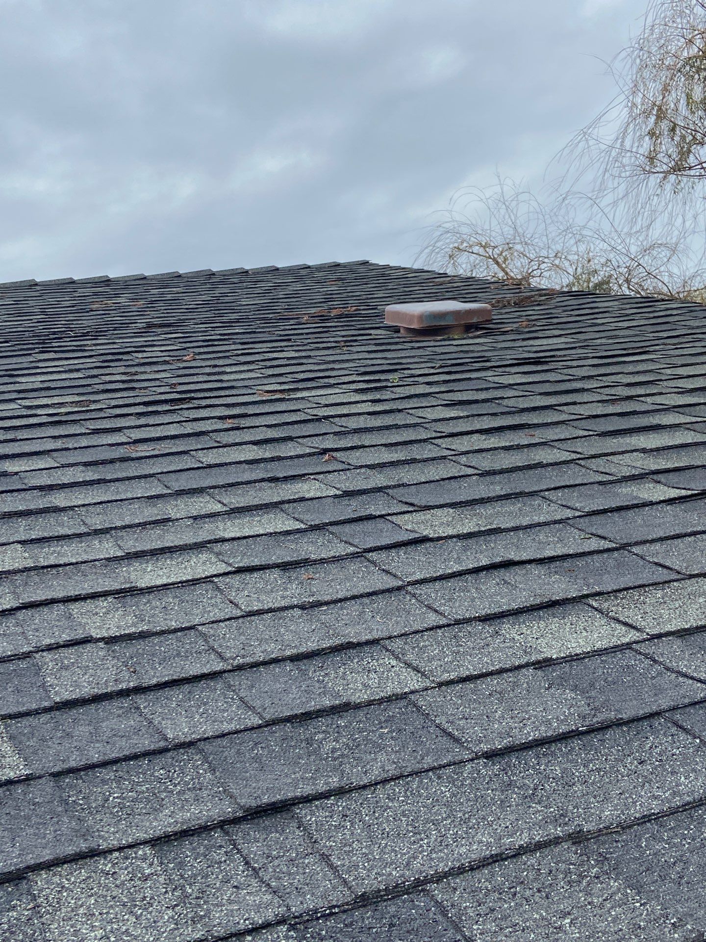 Roof Rejuvenation using Roof Maxx Treatment by Roof Maxx of Folsom
