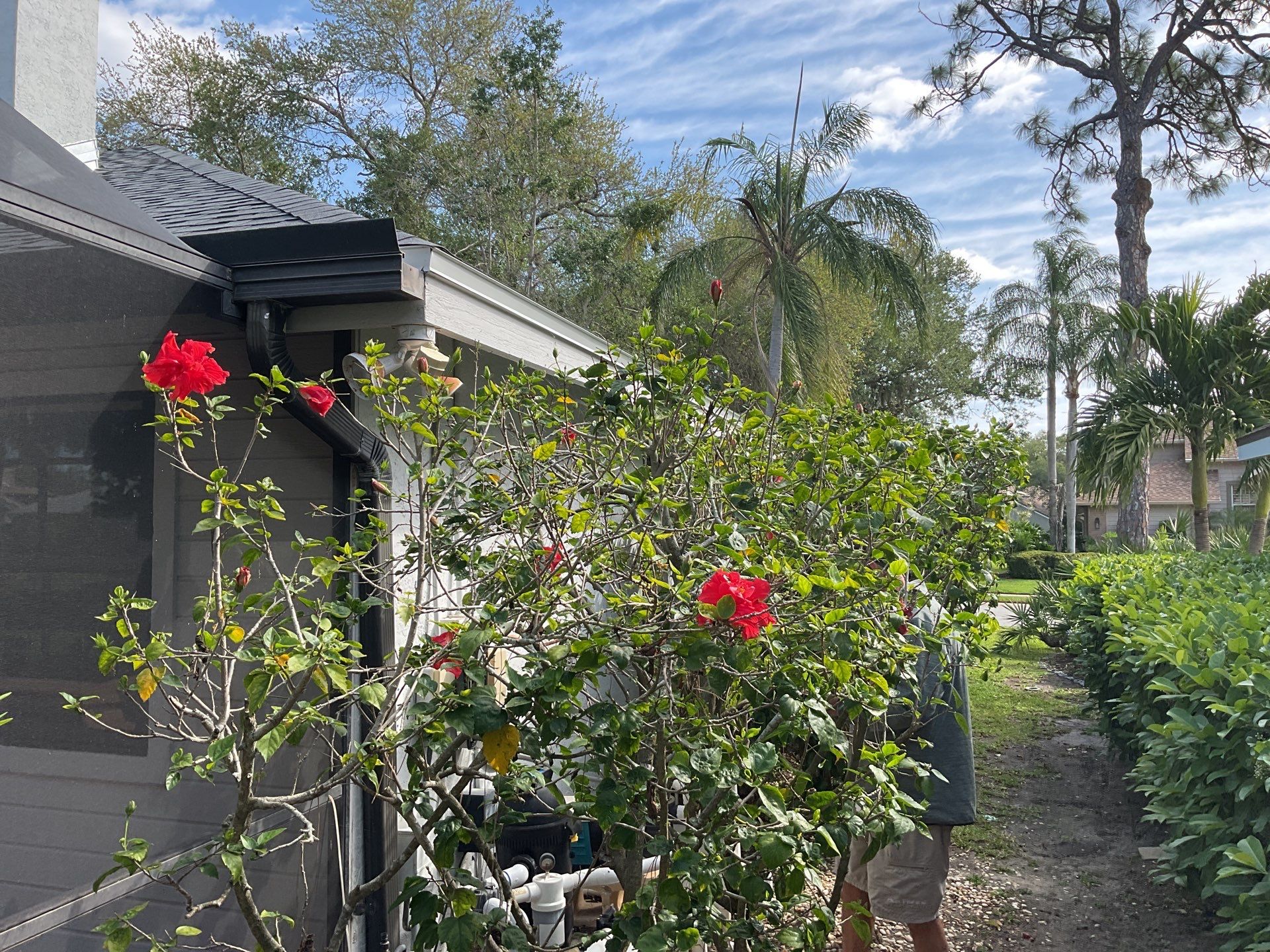 Gutter Guard System for a Leaf-Free Home in Sarasota FL by Gutter Professors