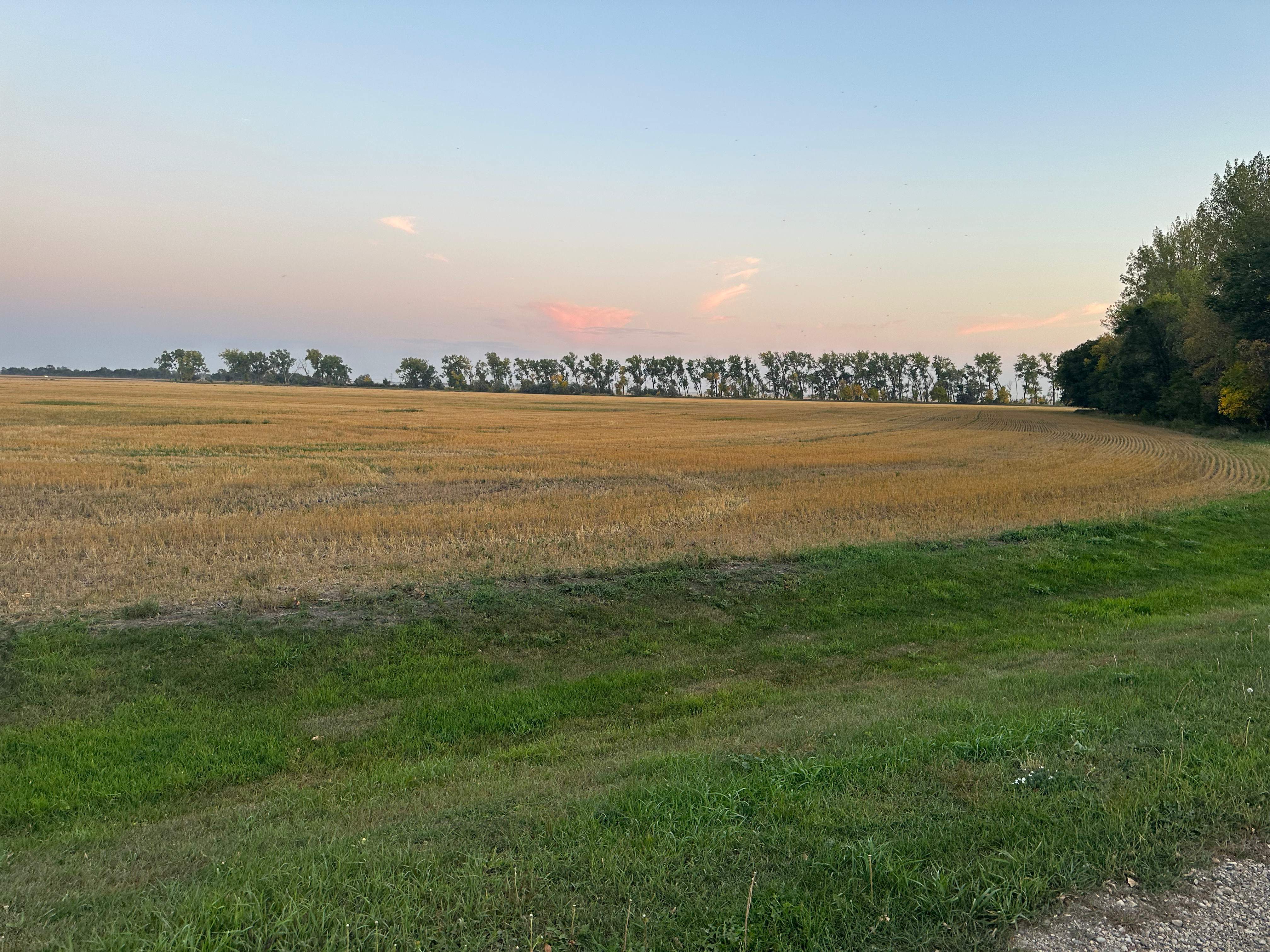 BeeGirl's Honey House in the Midwest by Rockwall Honey Bee Company