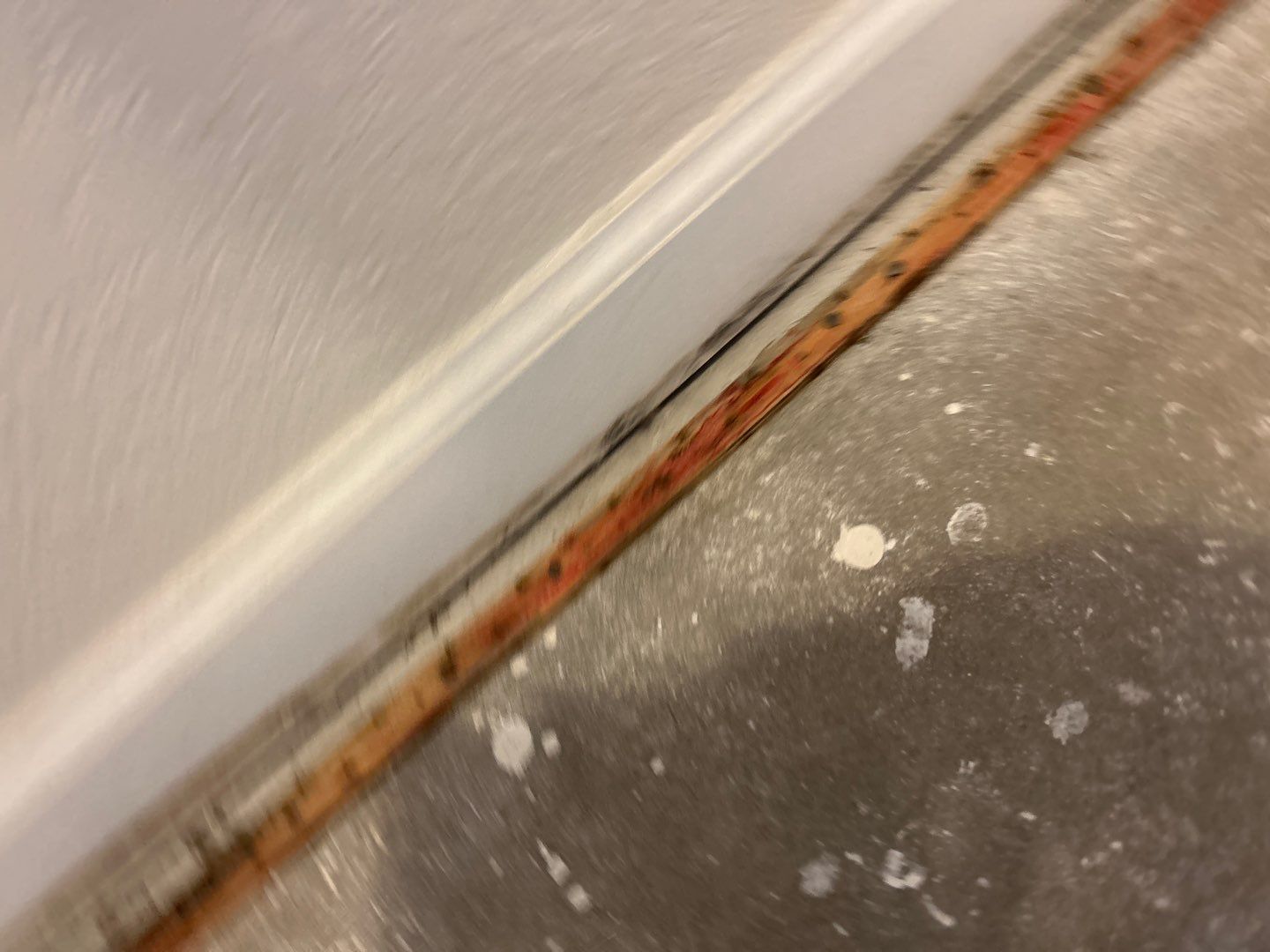 Mold Damage Project in Thornton by Accountable Home Services