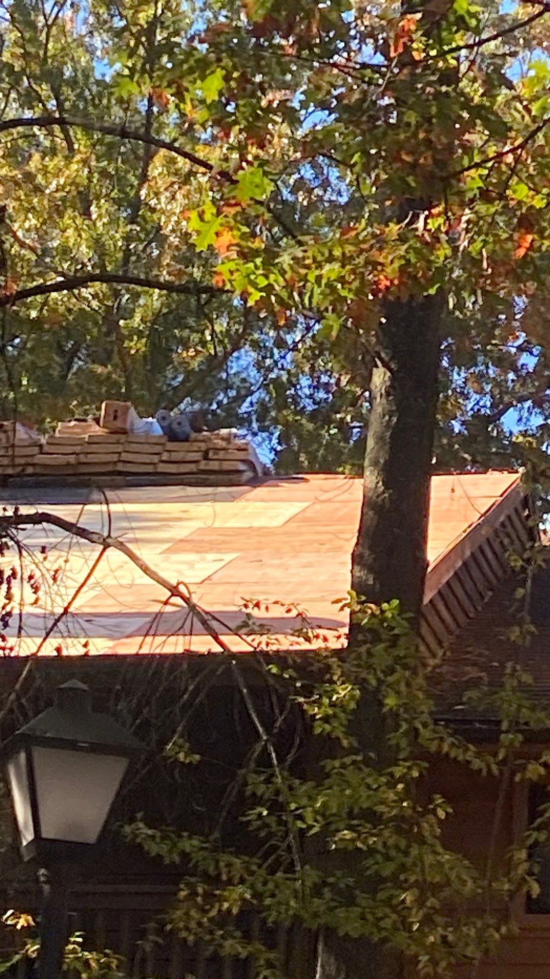 Reston: Residential Roof Replacement with CertainTeed Landmark Pro Designer Shingles in Max Def Red Oak by RM Banning, Inc.