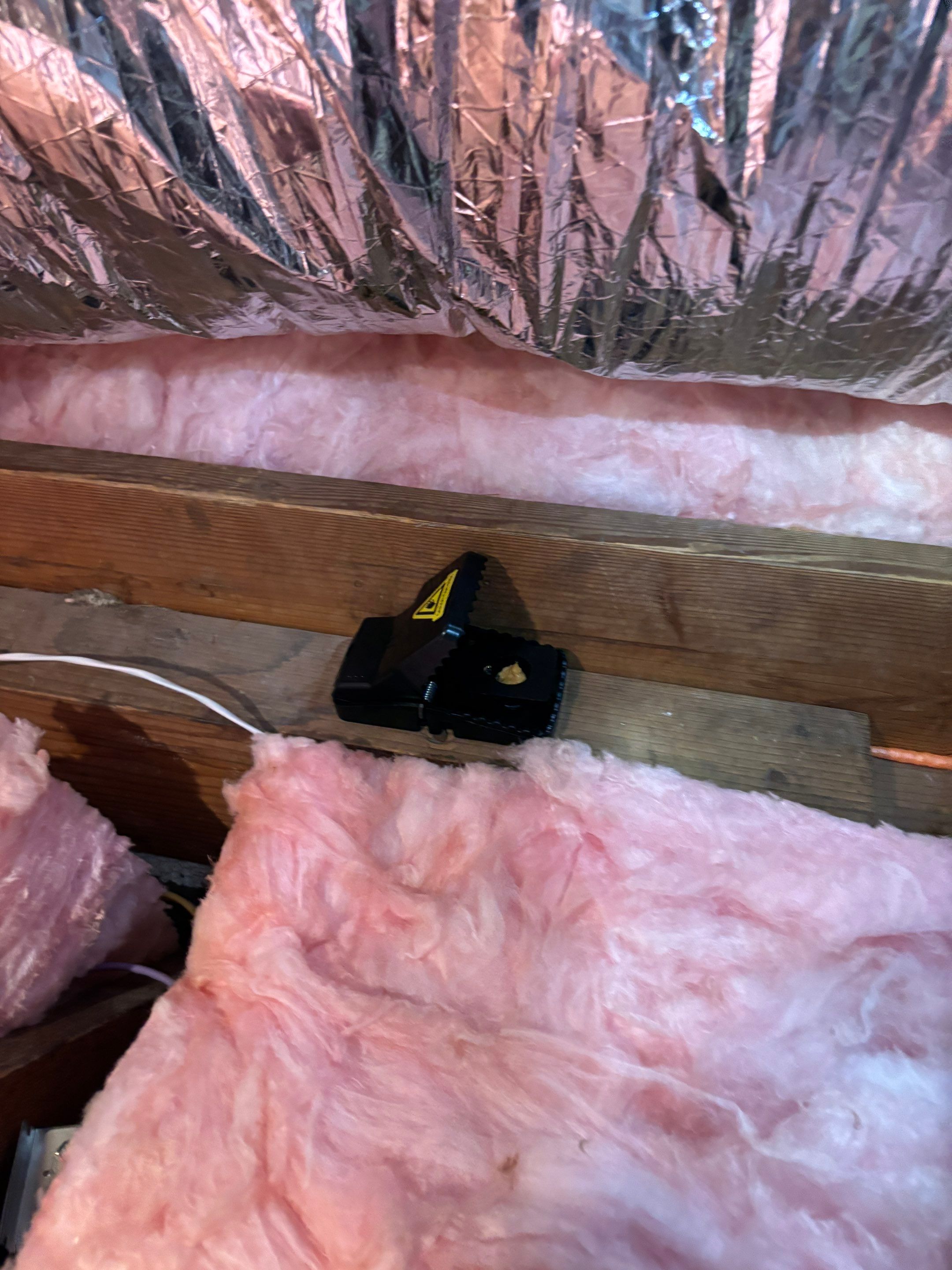 Project in Studio City by Insulation Labs