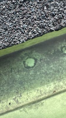 Turtle Shell gutter protection installation in Naperville, IL 60540, photograph 8