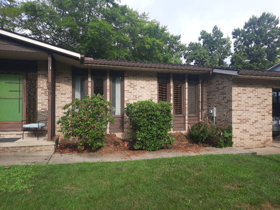 Tree Removal using Tree Removal by Mike Jones & Sons Tree Service LLC 