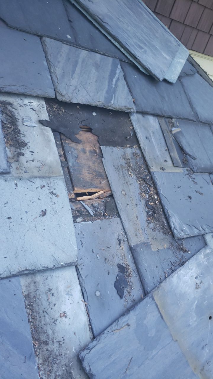 Slate Roof Repair & Gutter Cleaning in Roland Park by Roof Right Inc