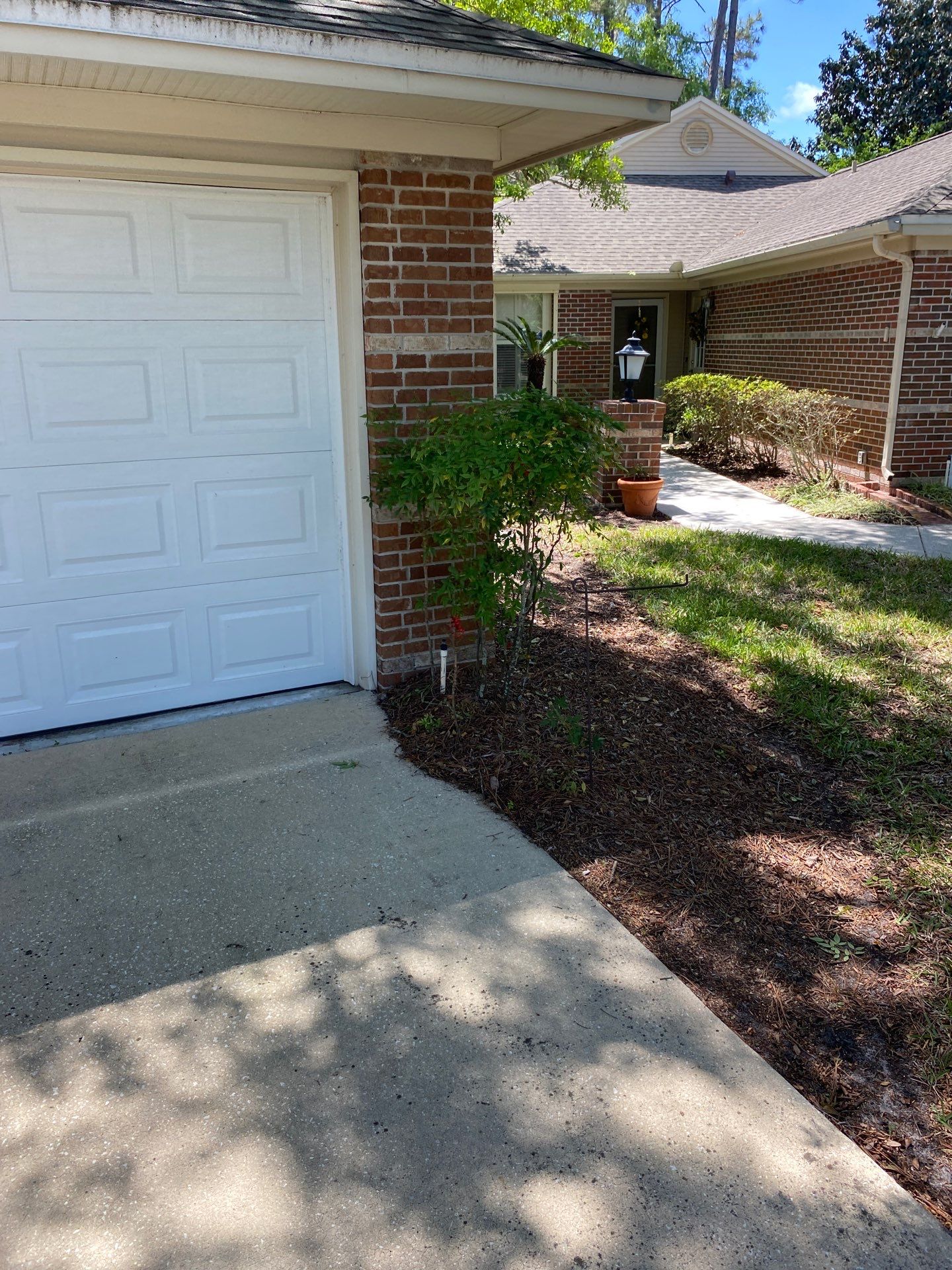 Residential | Volunteer Clean-Up by ProGreen Services