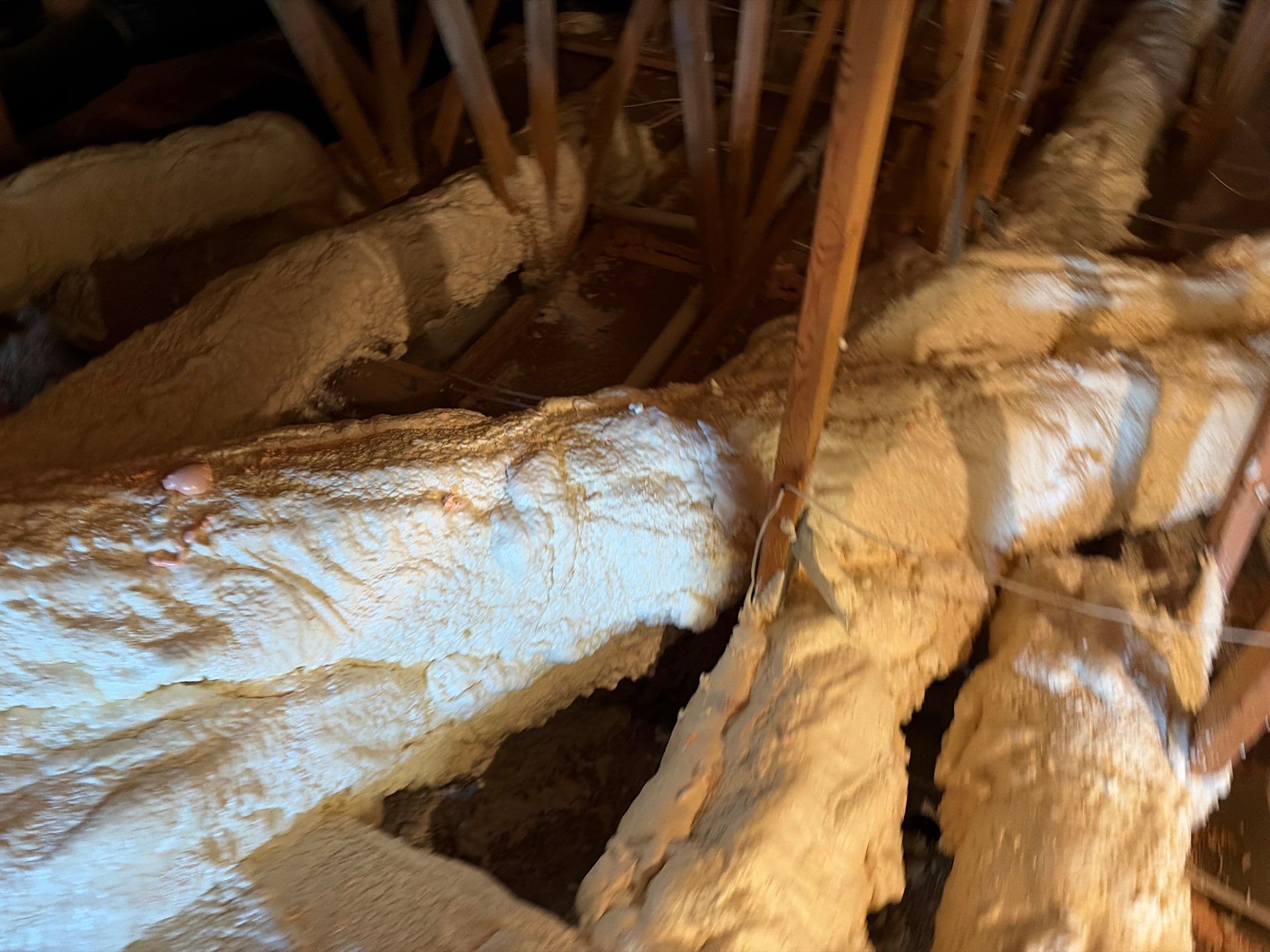 Sanitizing and Transforming a 2,100 sq ft Attic for a Better Home Performance by Home Environment Solutions