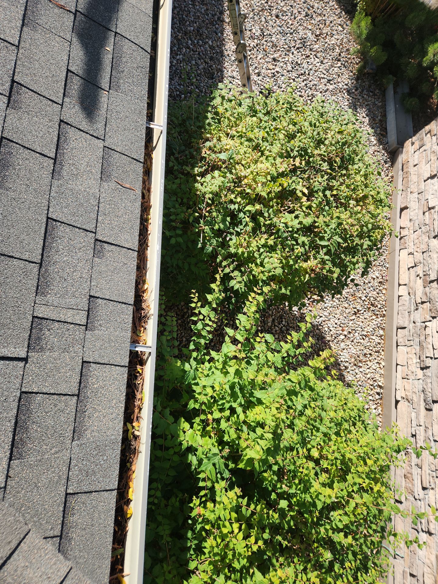 Commercial gutter cleaning Cheyenne, WY before photo with filled gutters