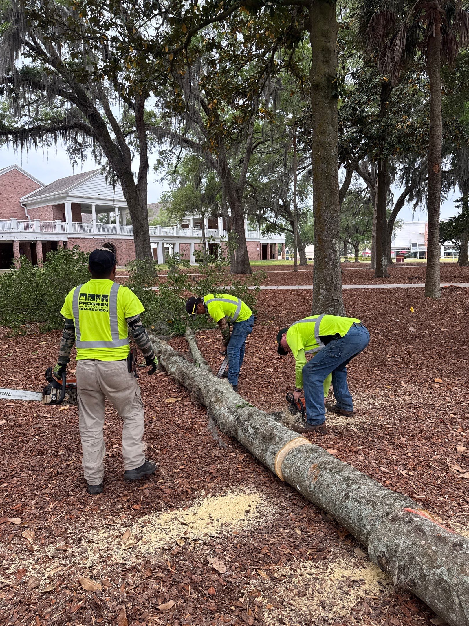 Episcopal School of Jacksonville | Tree Service by ProGreen Services