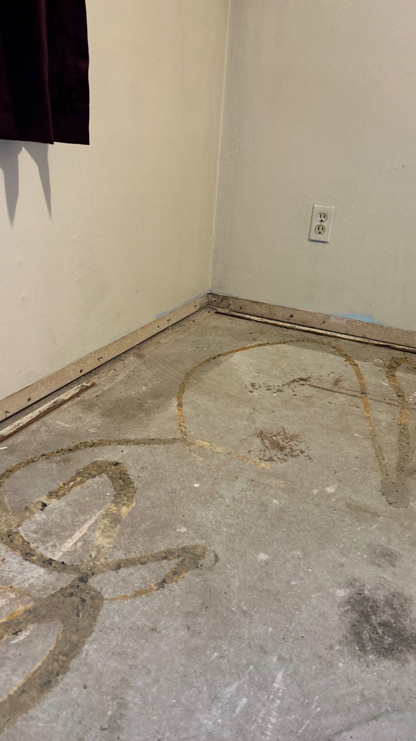 Mold Remediation by Accountable Home Services