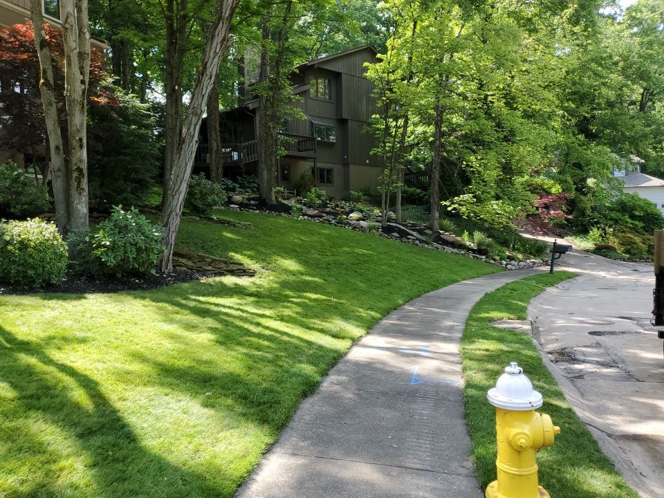 Tree Trimming using Tree Pruing by Mike Jones & Sons Tree Service LLC 