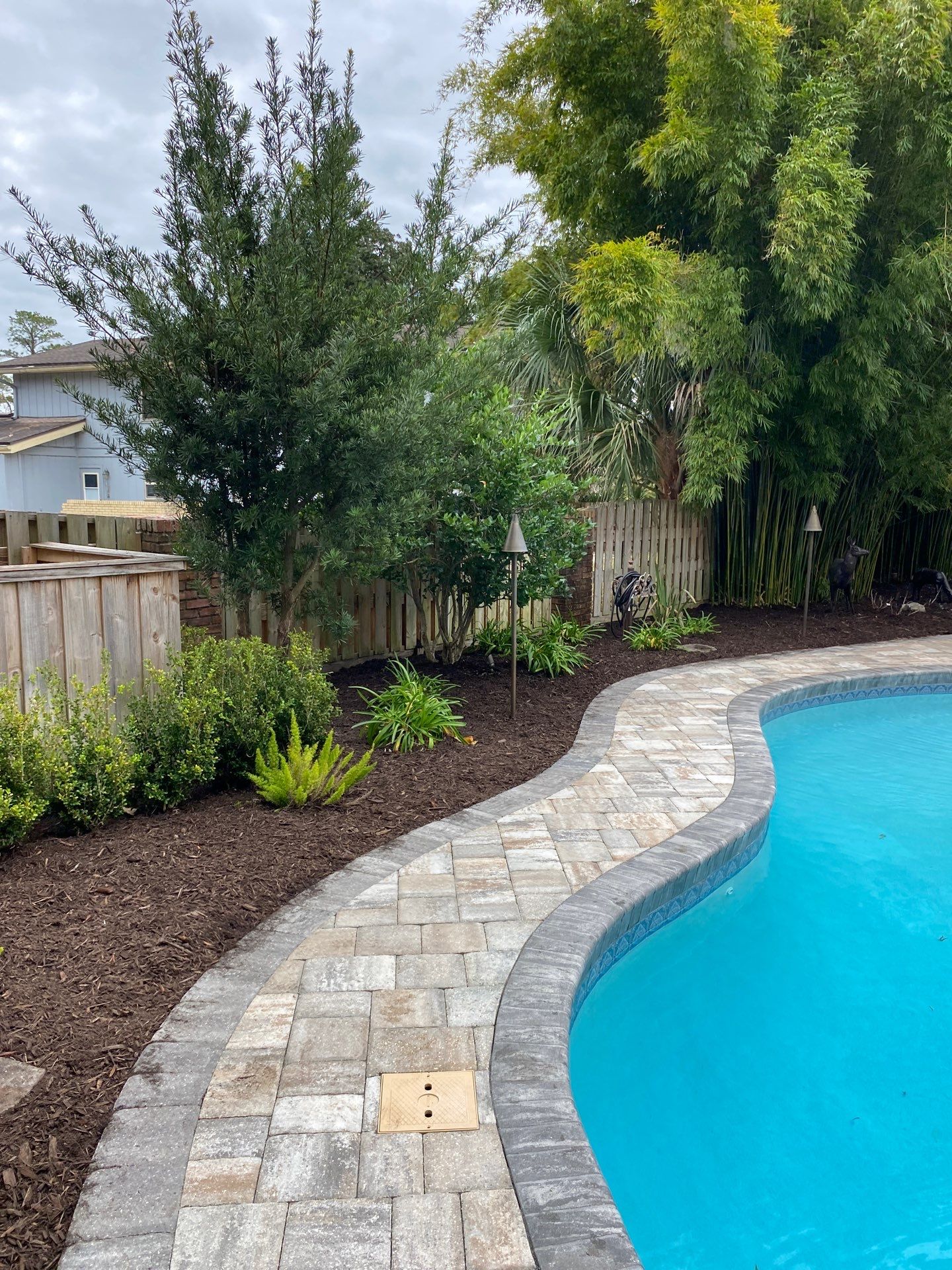 Deerwood Resident | Tree Removal & Mulch Install by ProGreen Services
