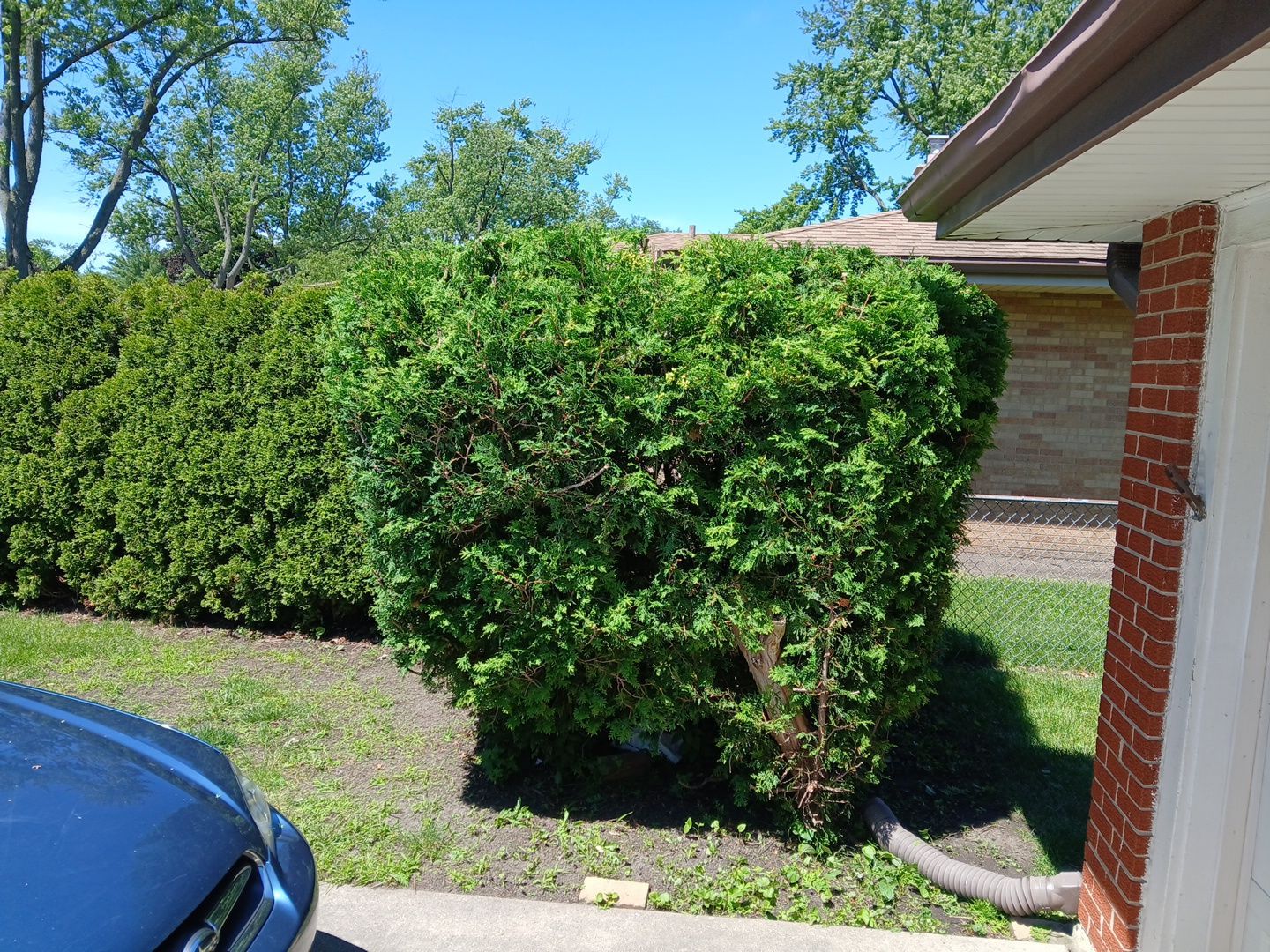 Martha C. - Mount Prospect, IL by A&N 