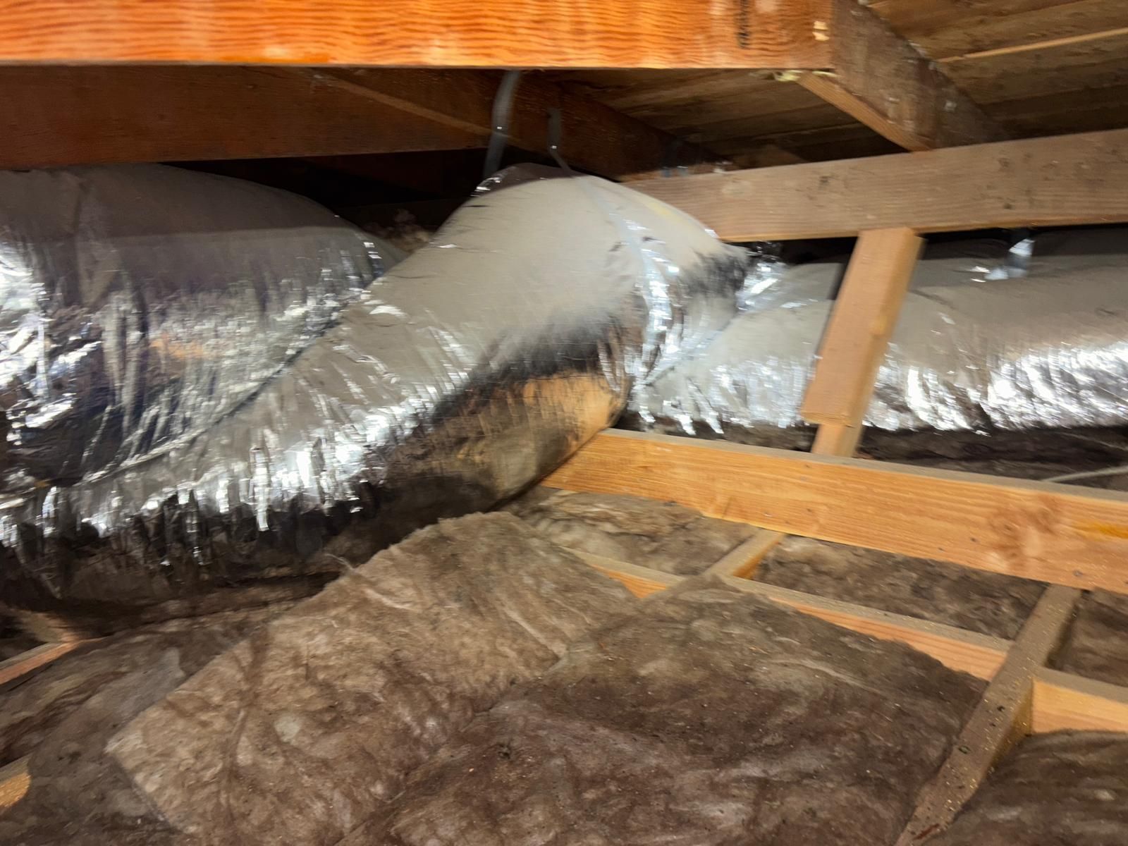 Project in Pacific Palisades by Insulation Labs