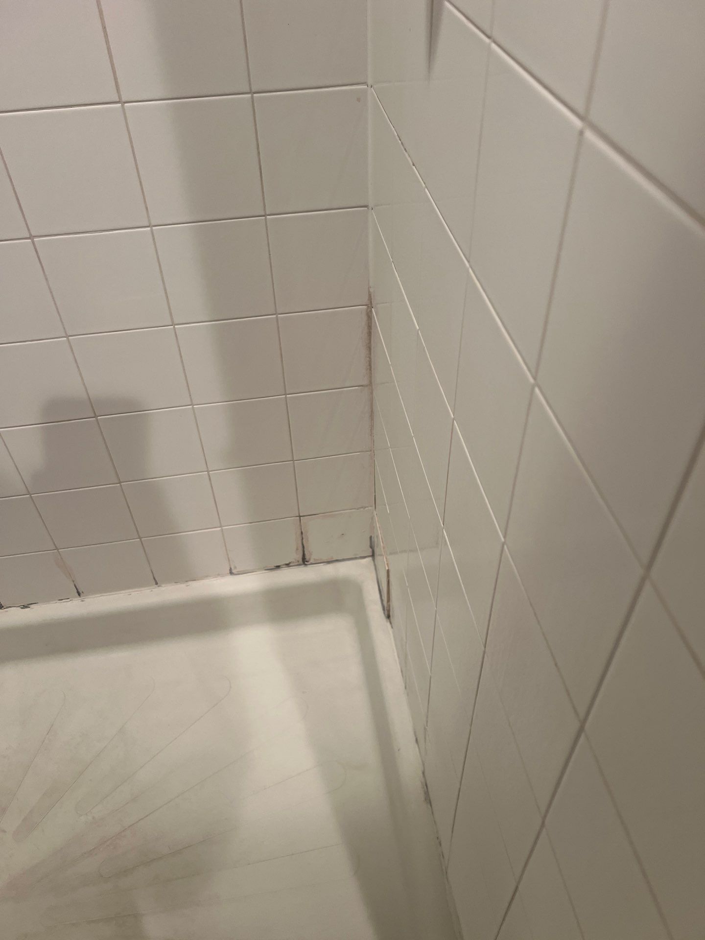 Bathroom Remodel using Bathtub by The Shower Company