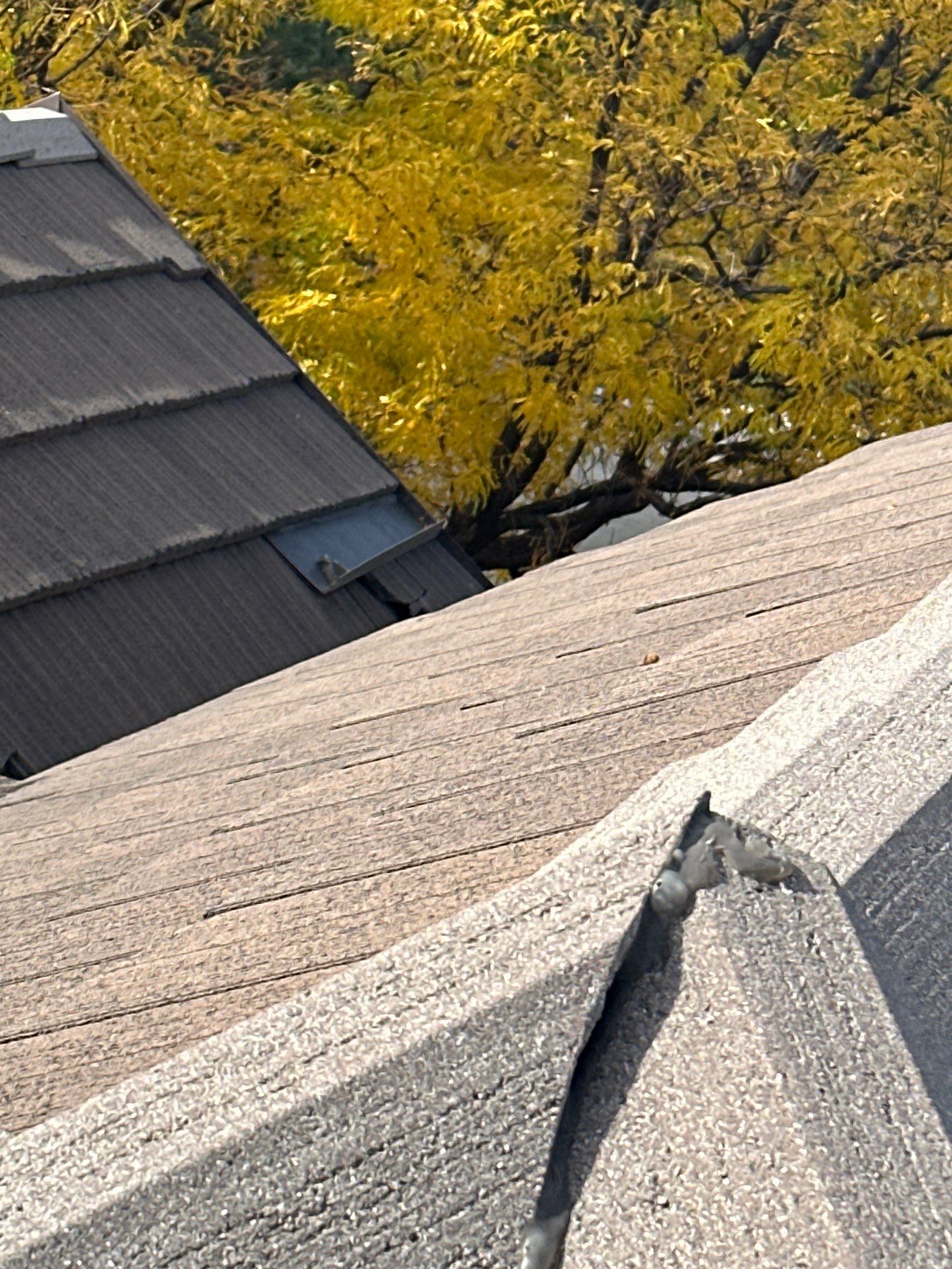 Unified Stone Coated Roof & Stucco Remodle by Blue Peaks Roofing LLC