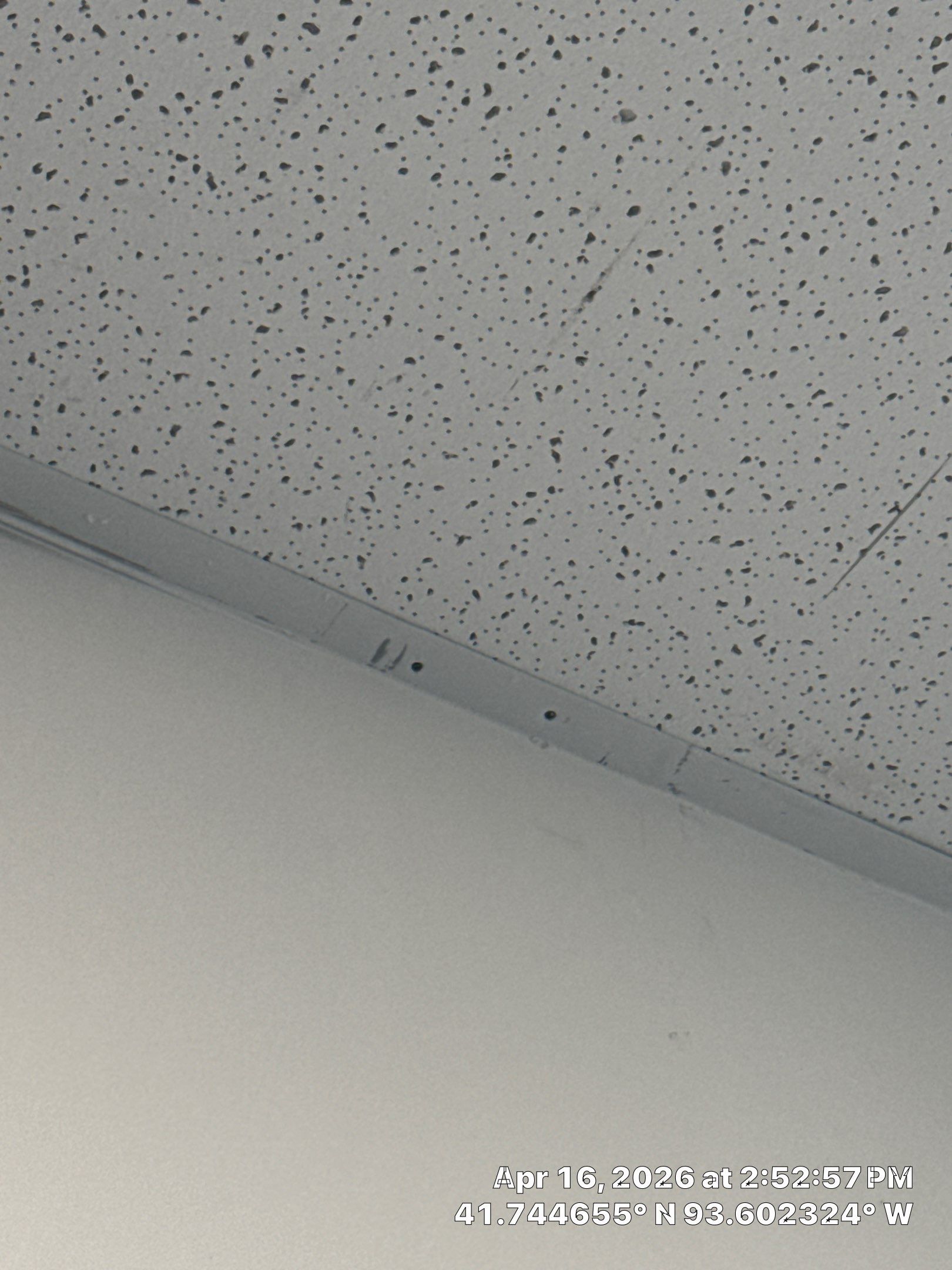 Commercial Interior Touchup after drywall work completed by Midwest Paint LLC
