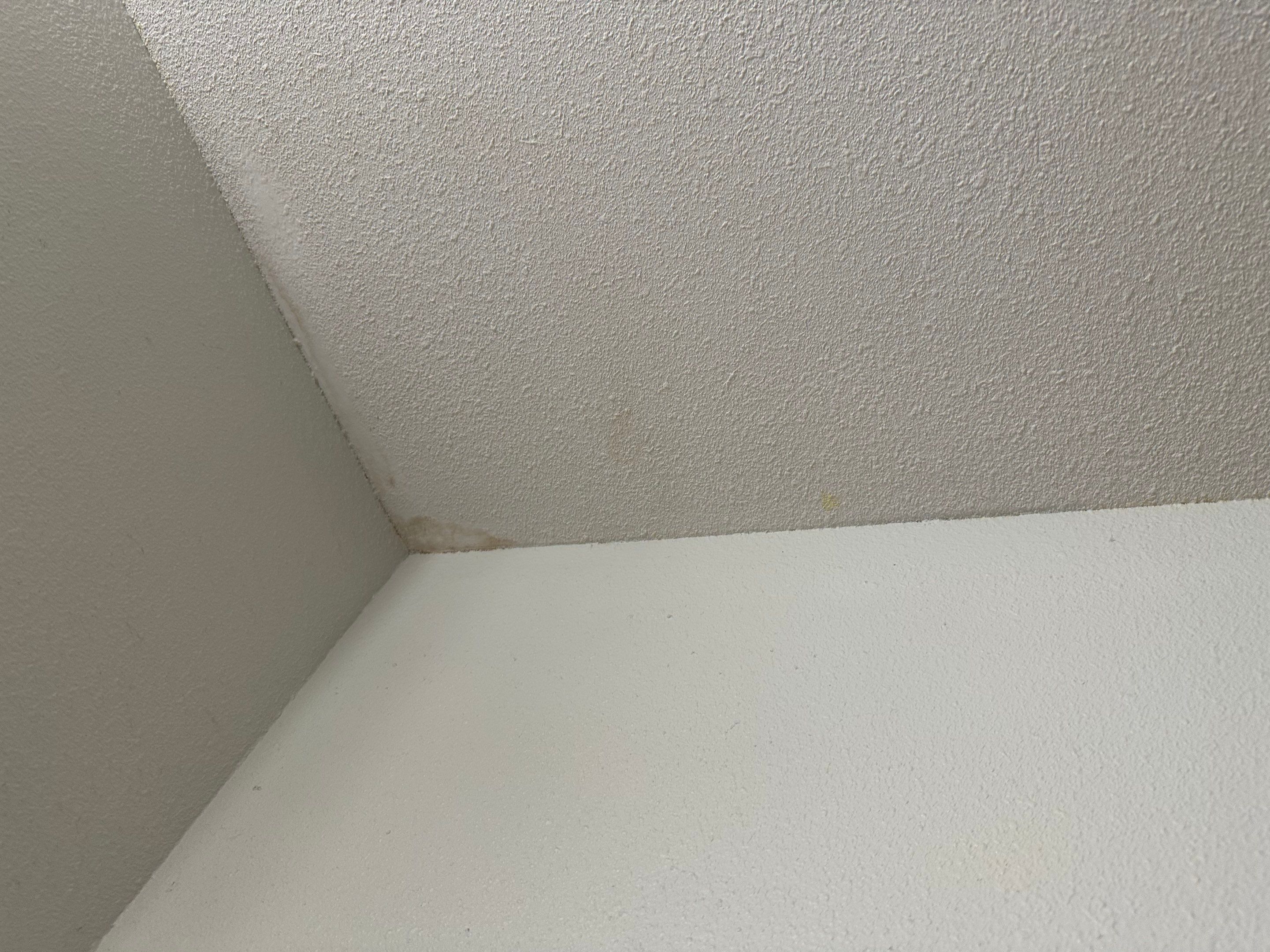 Interior Painting in Gilmer, TX | From Stains & Spots to Fresh White Room by Quality Coats Painting