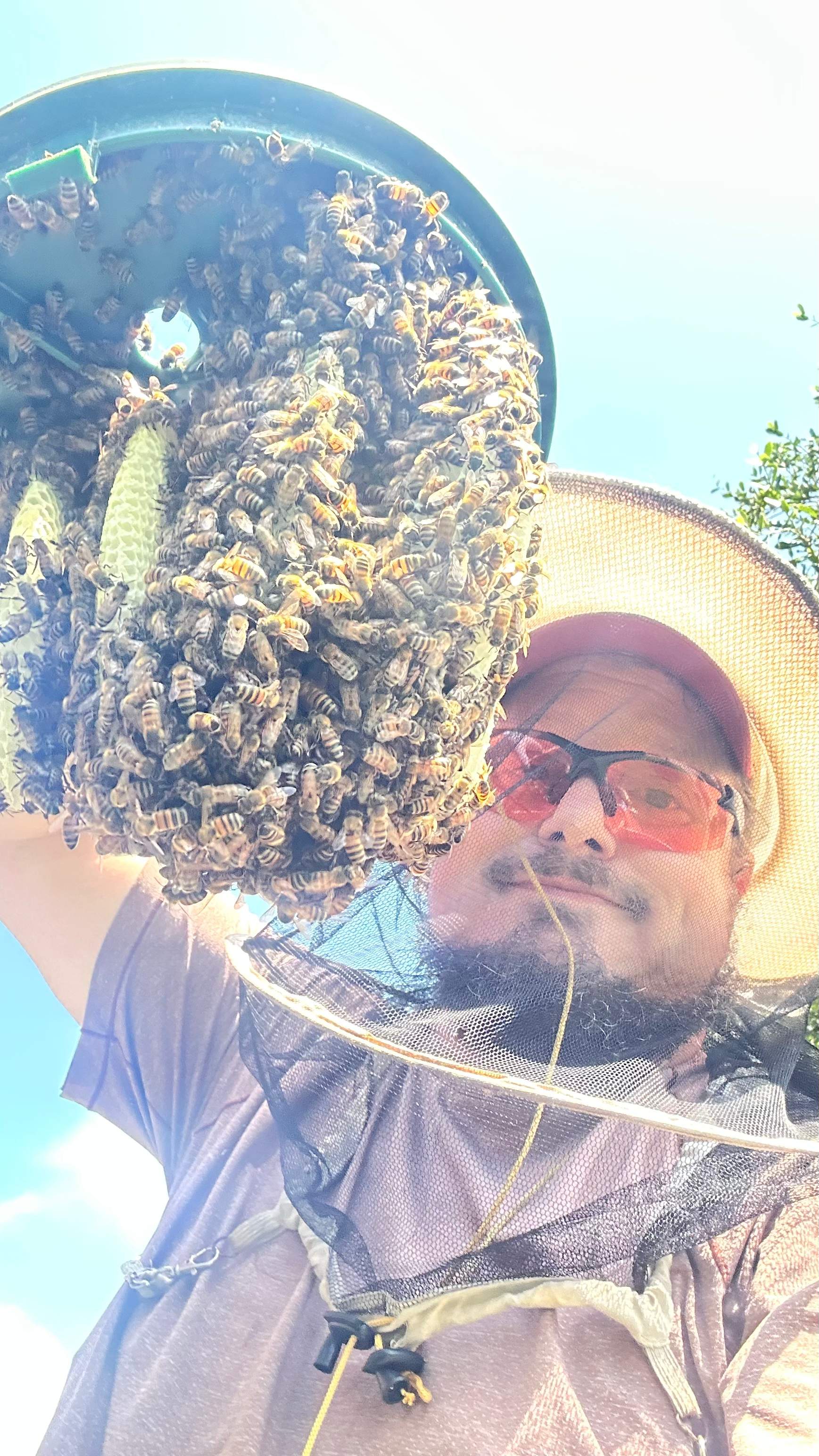 Irrigation Box by Rockwall Honey Bee Company