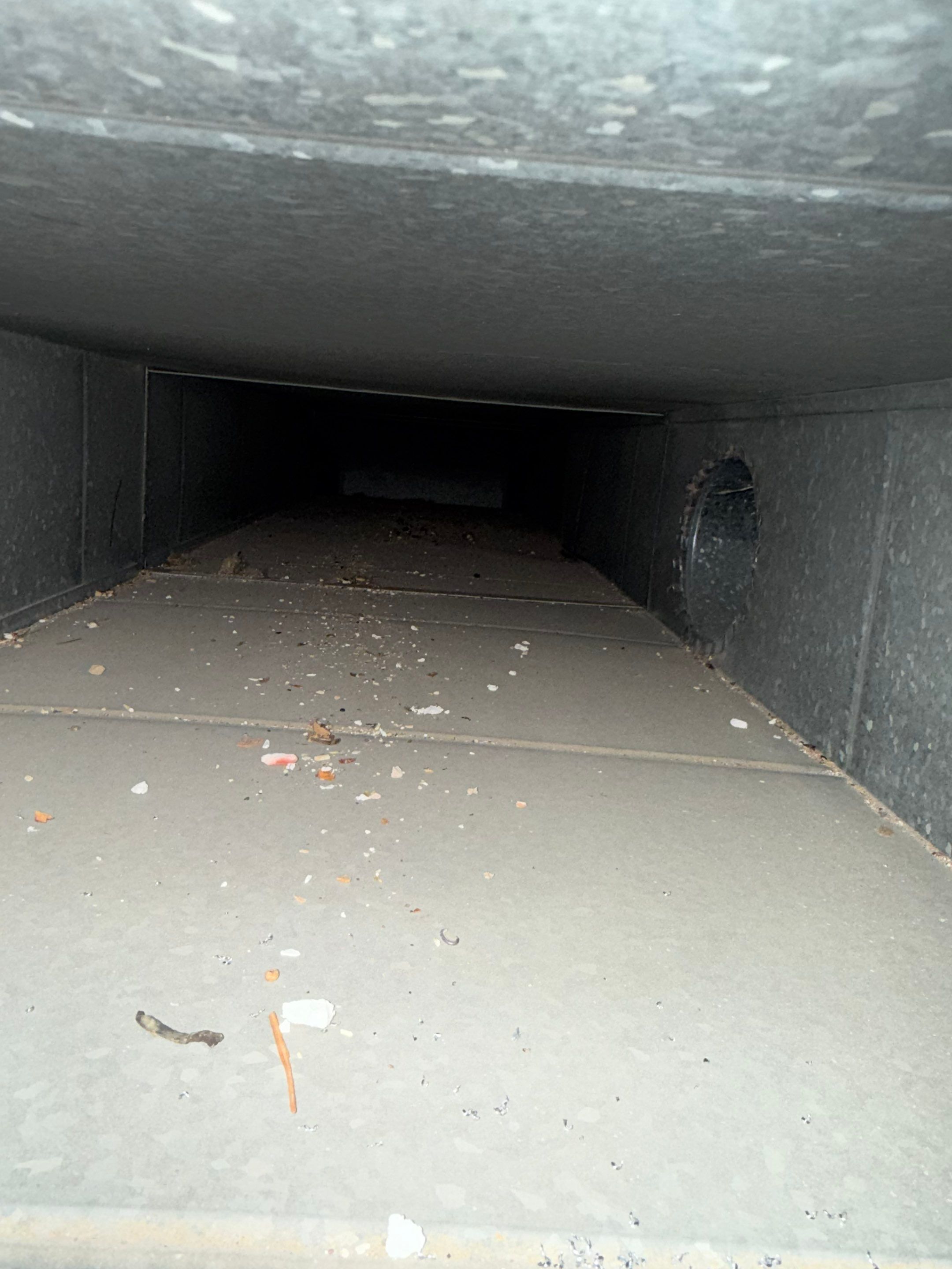 Duct Cleaning and Sanitization in Woodstock by Elemental Heating and air conditioning LLC