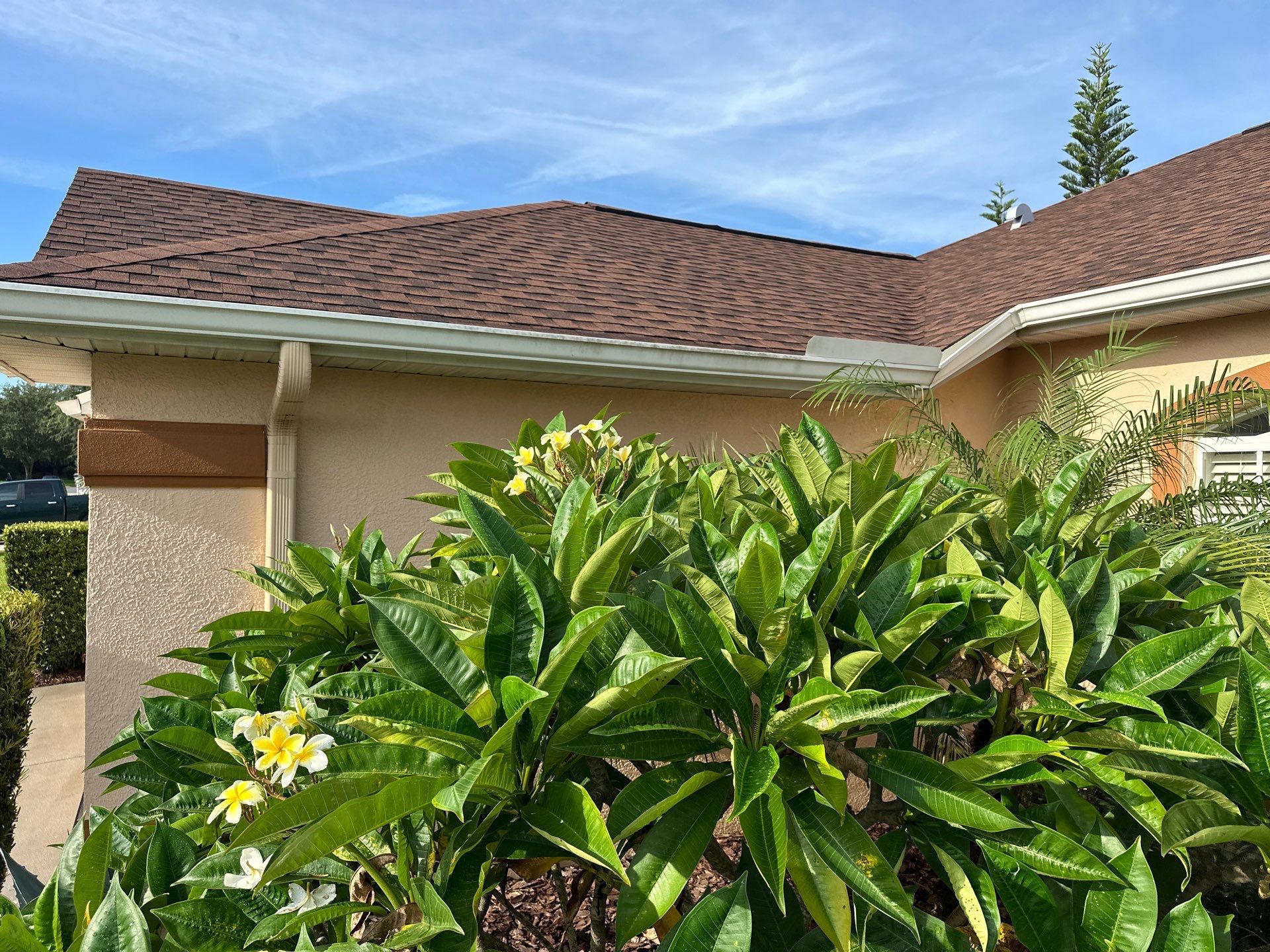 🏡 Pre-Sale House & Driveway Cleaning – Arbor Creek, Palmetto, FL by Sunshine AquaWash