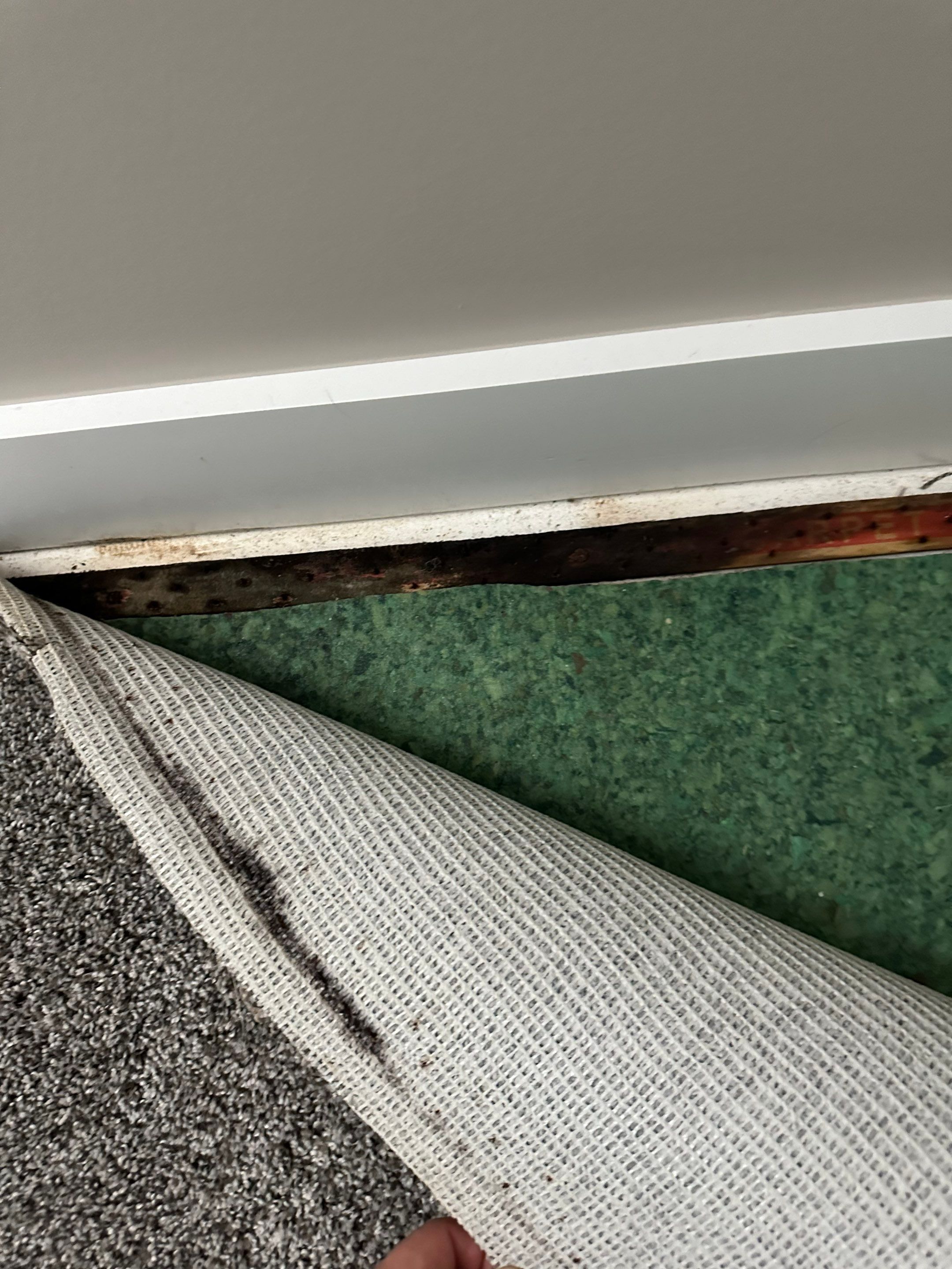 Foundation leak long term damage in new build home by BlueRed Restoration