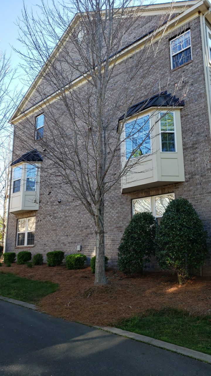 House Wash using cleaner by Power Wash Masters LLC