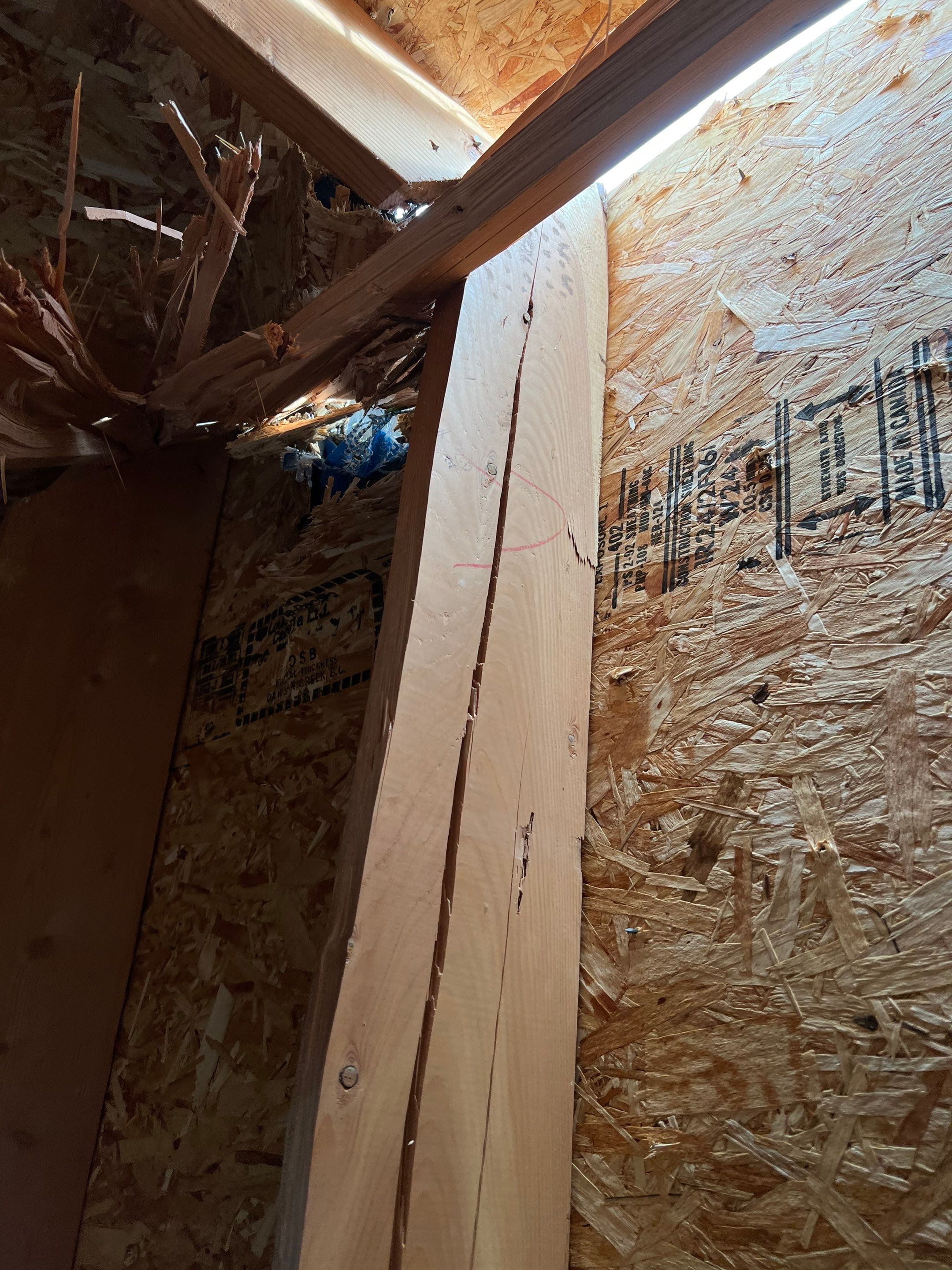 Green Snap Lock Standing Seam  by Montana Roofing Solutions