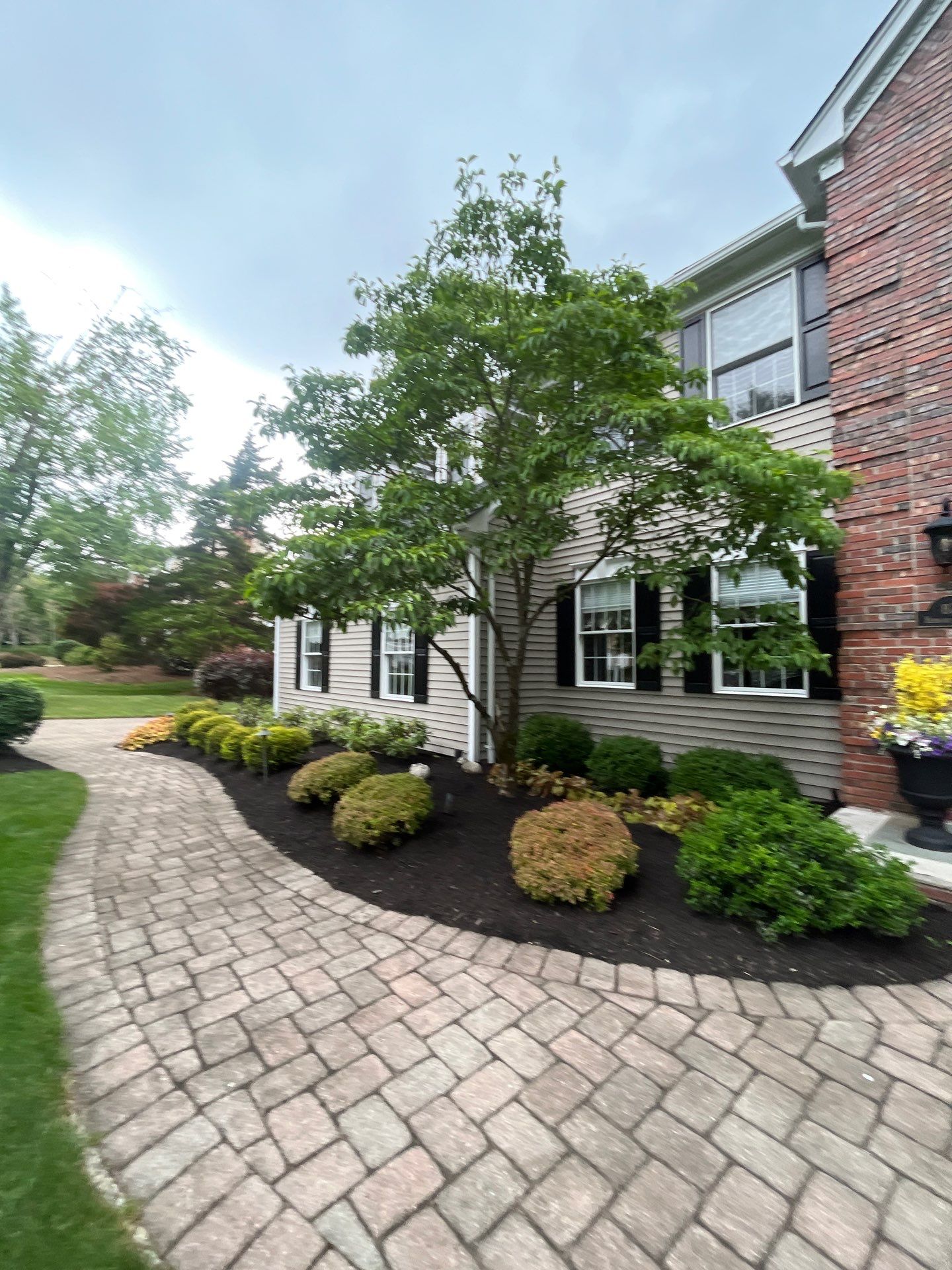 Comprehensive Shrub and Ornamental Bed Maintenance in Basking Ridge by Ants Plants