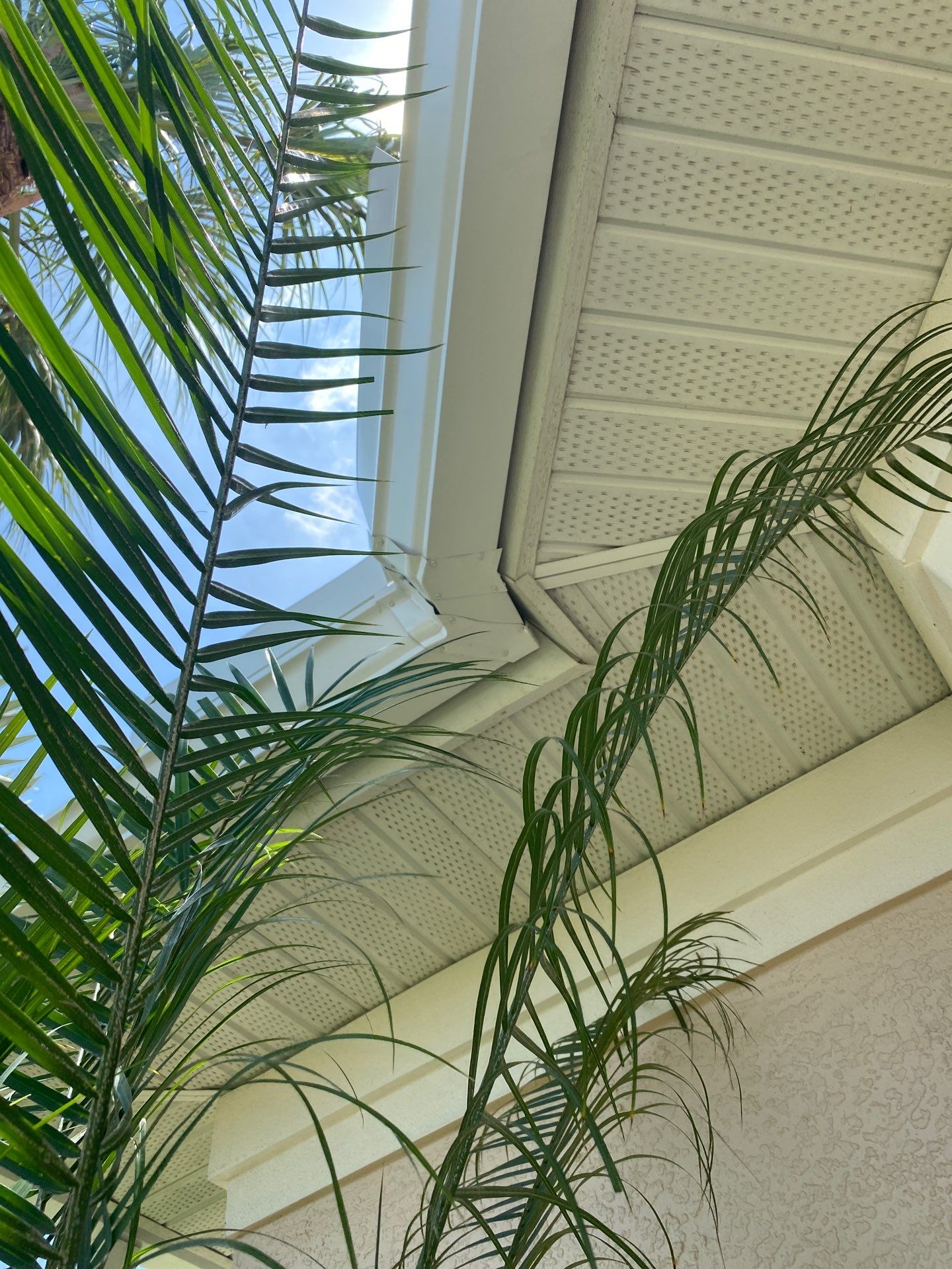 Seamless Gutter Upgrade Before & After in Bonita Springs FL by Gutter Professors