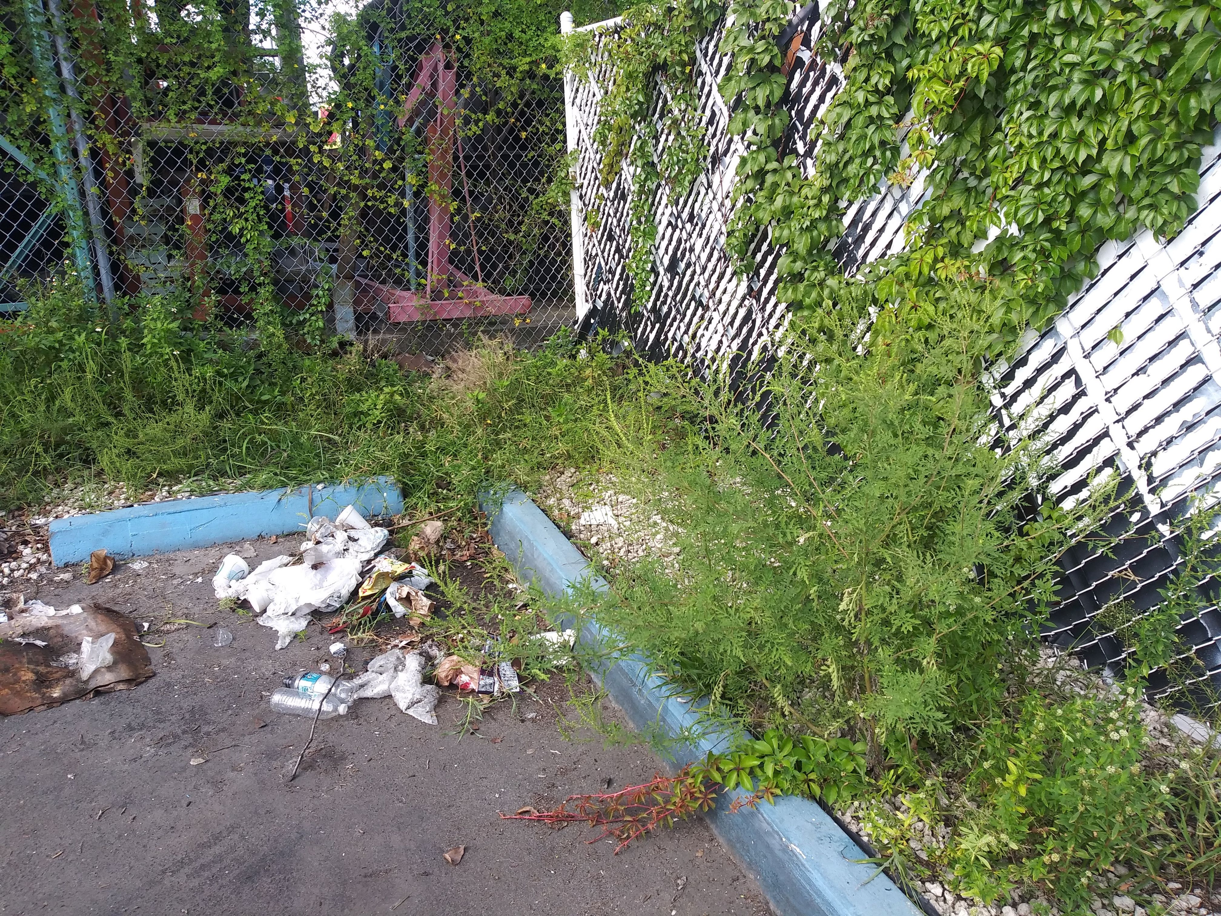 Lot Cleanup by
M.A.B. Landscaping & Property Maintenance