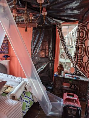 Water Mitigation Services in Louisville, KY