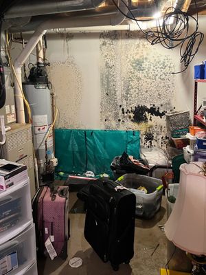 Project in Commerce Charter Twp