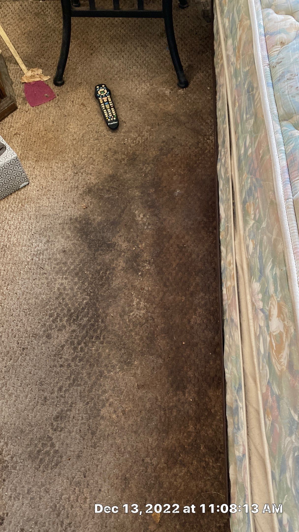 Mold Assesment using IR Camera, Moisture Meter, Air Cassatte samples and Tape lifts by Building performance Solutions LLC